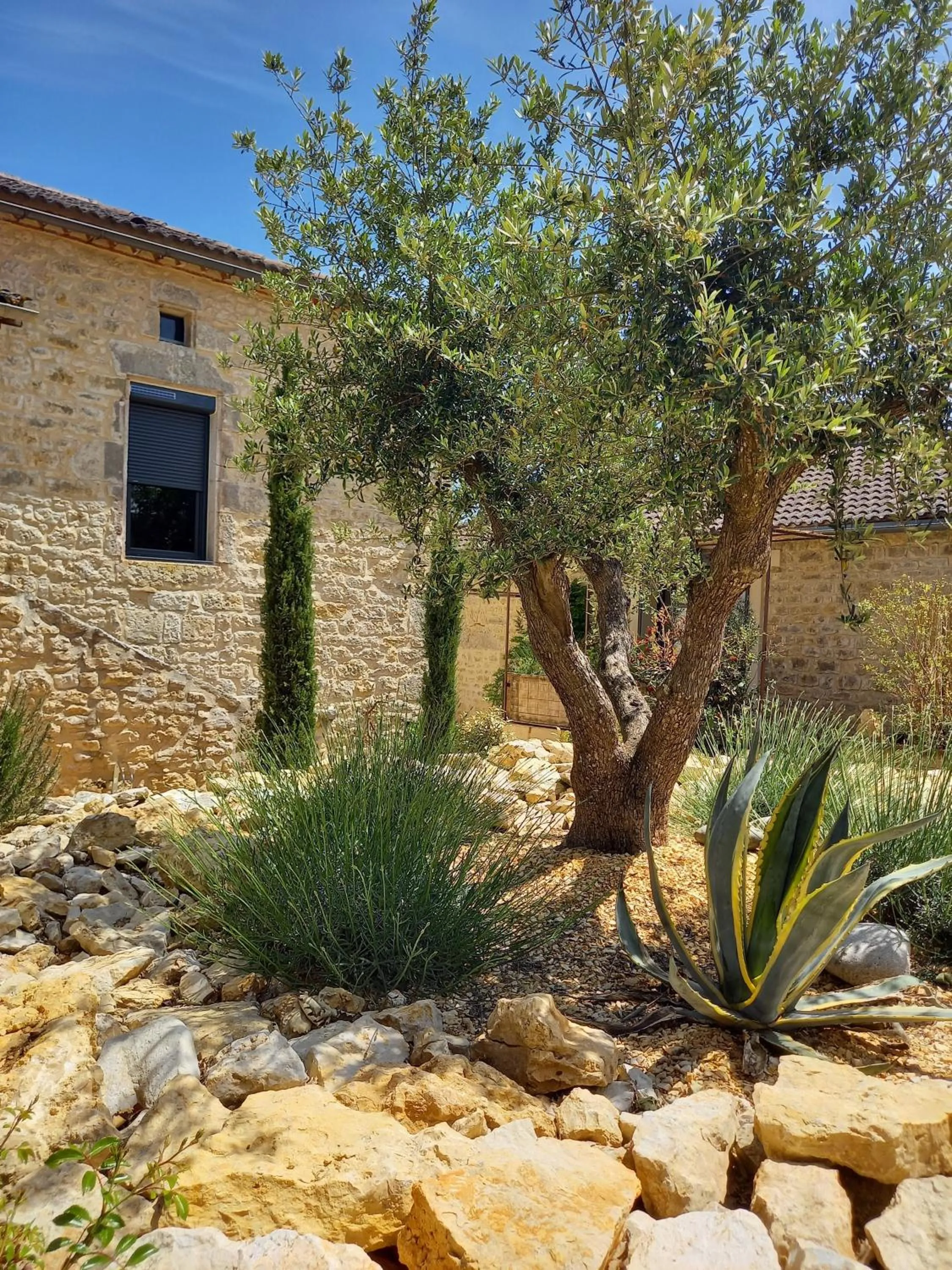 Garden in Maison Reces