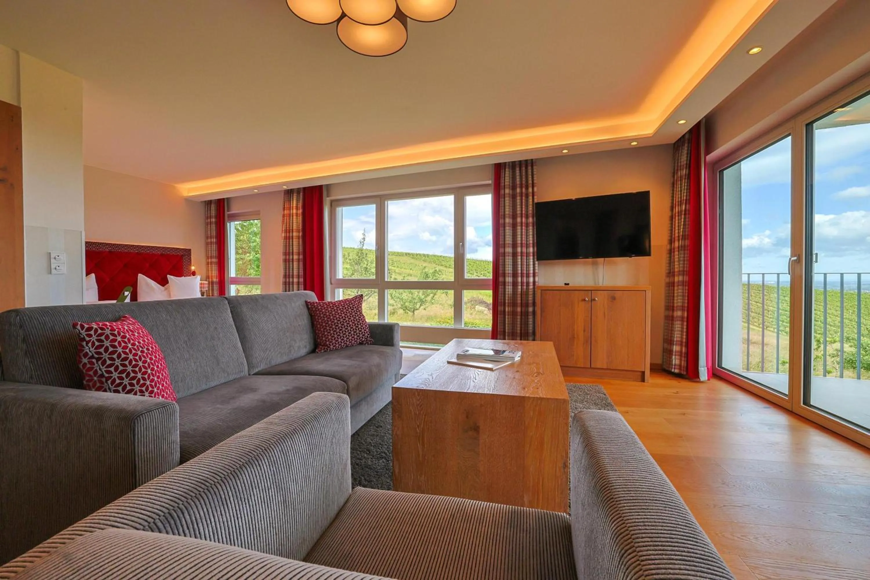 TV and multimedia in Hotel Rebenhof