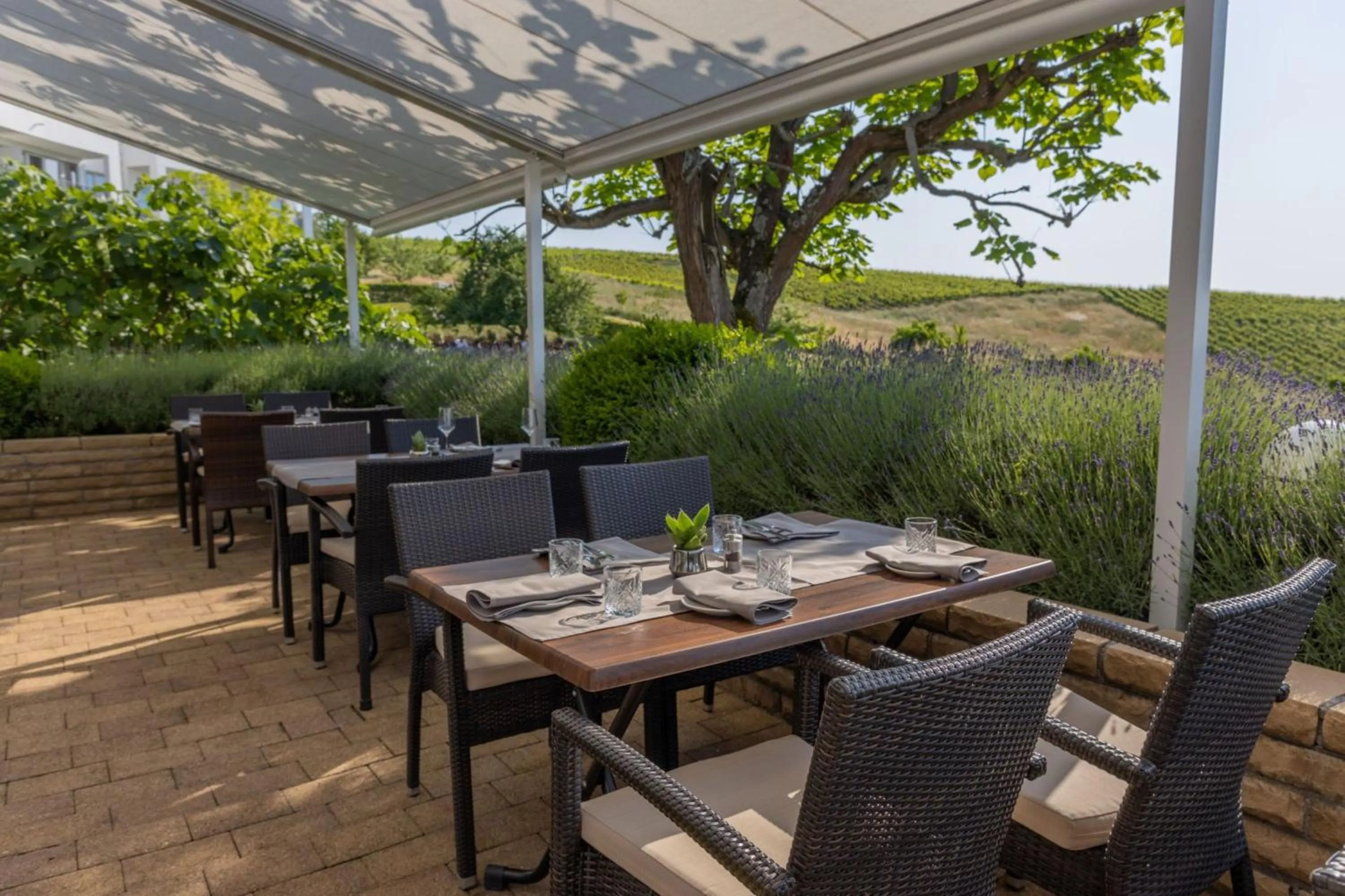 Balcony/Terrace in Hotel Rebenhof