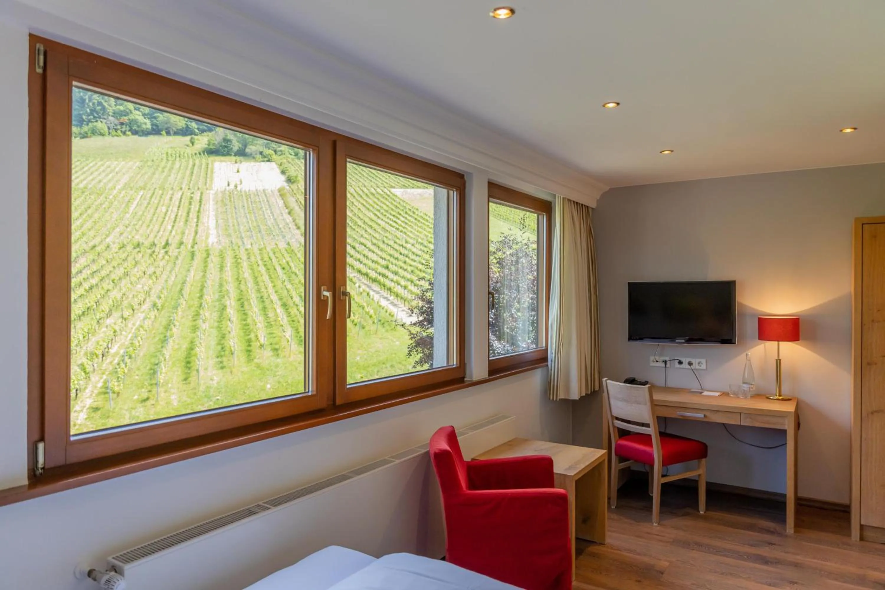 TV and multimedia in Hotel Rebenhof