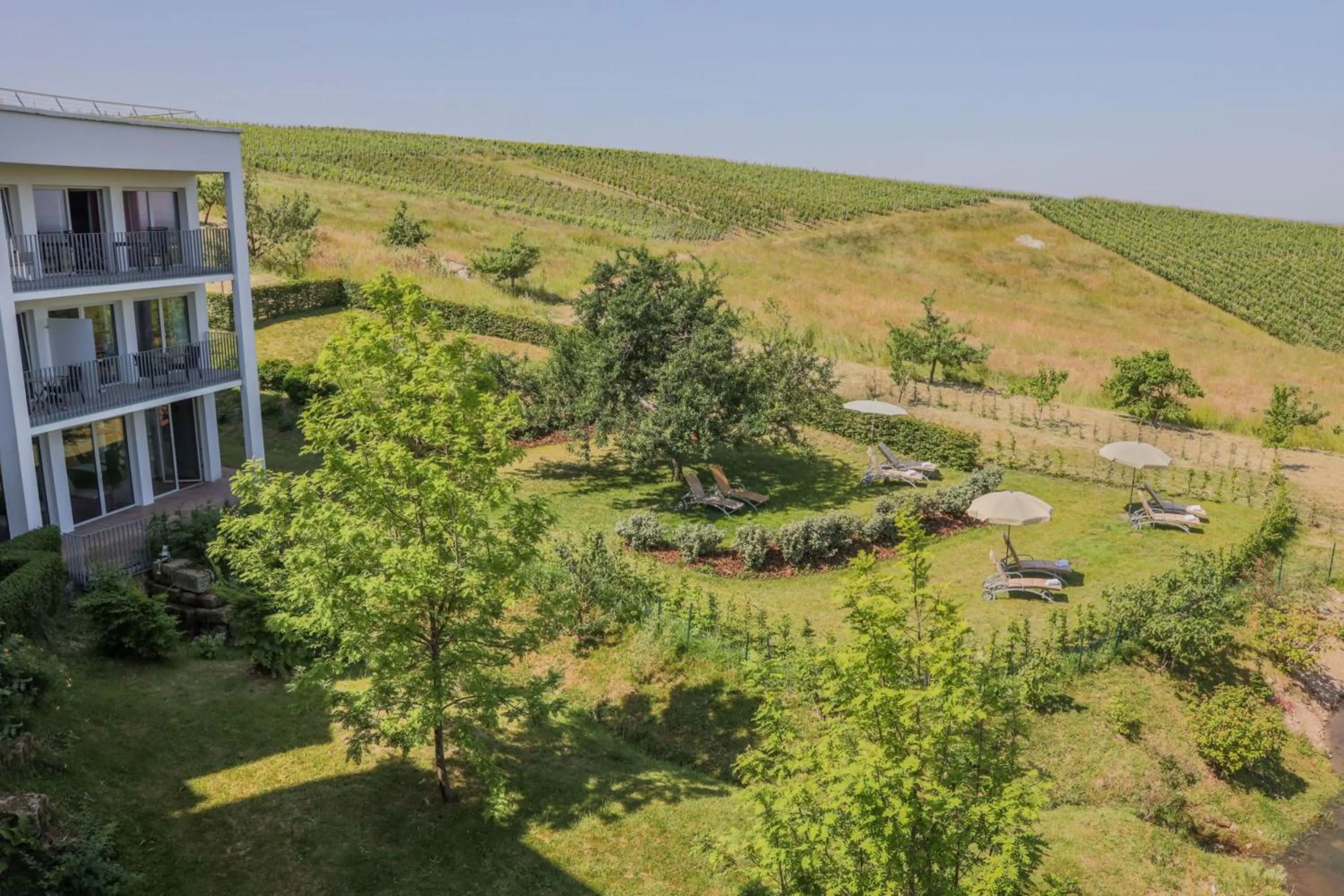 View (from property/room) in Hotel Rebenhof