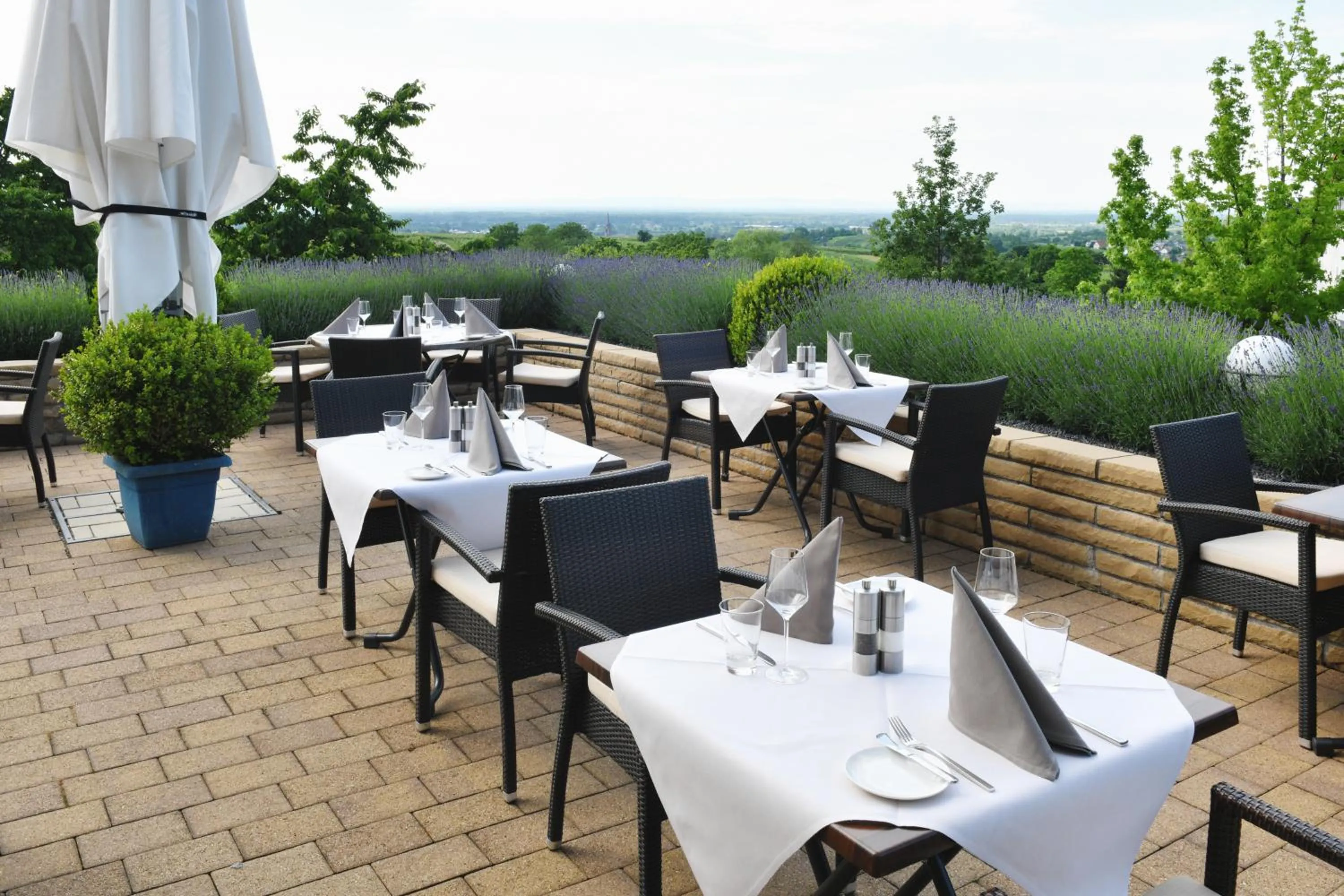 Restaurant/places to eat in Hotel Rebenhof