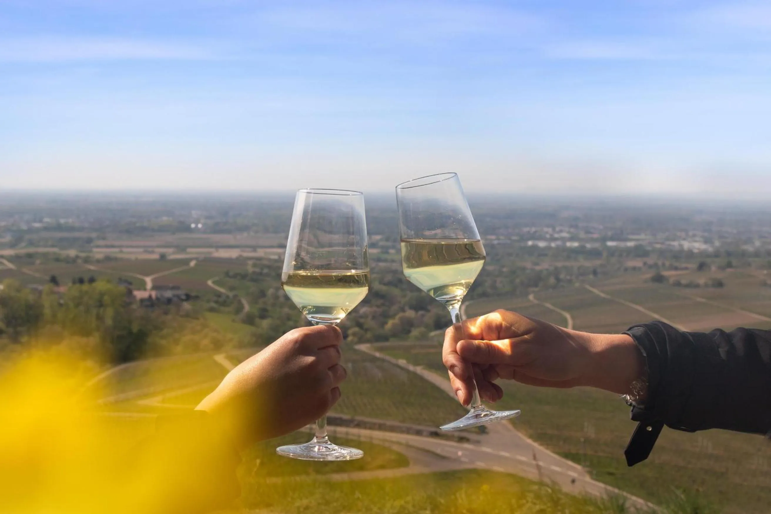 Restaurant/places to eat in Hotel Rebenhof