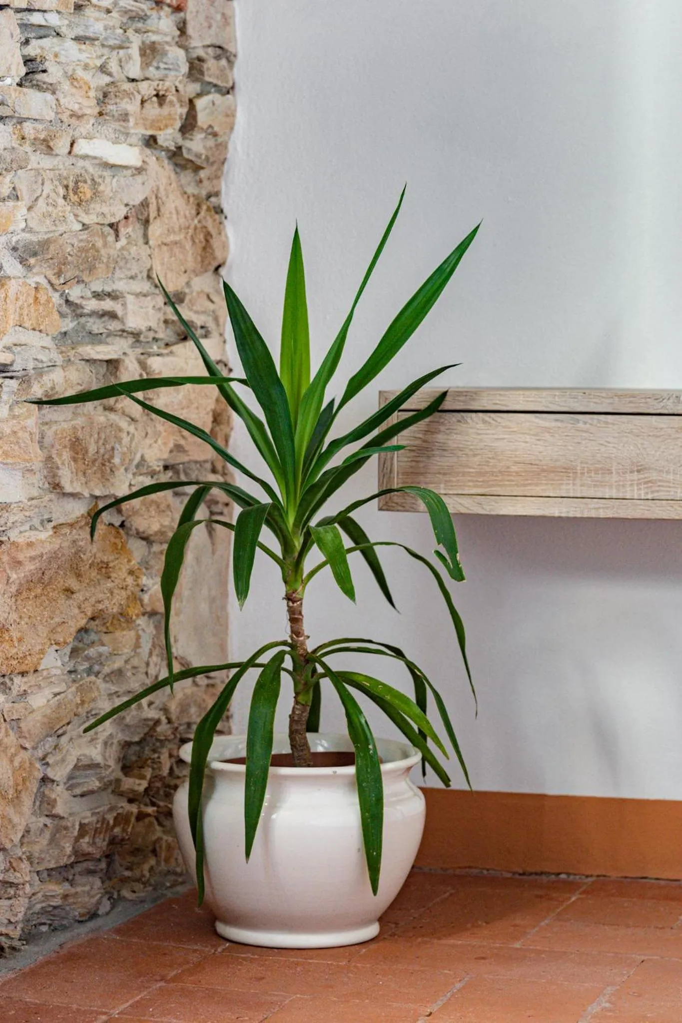 Floor plan in Villa Galgani