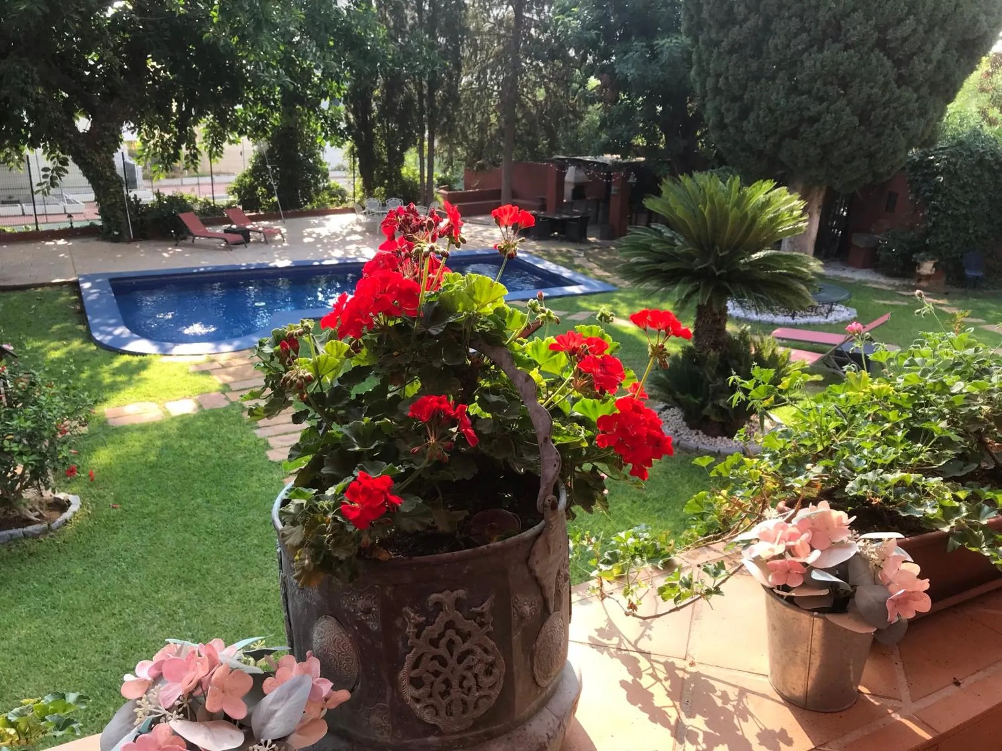 Pool view in Casa Paraíso Boutique B&B