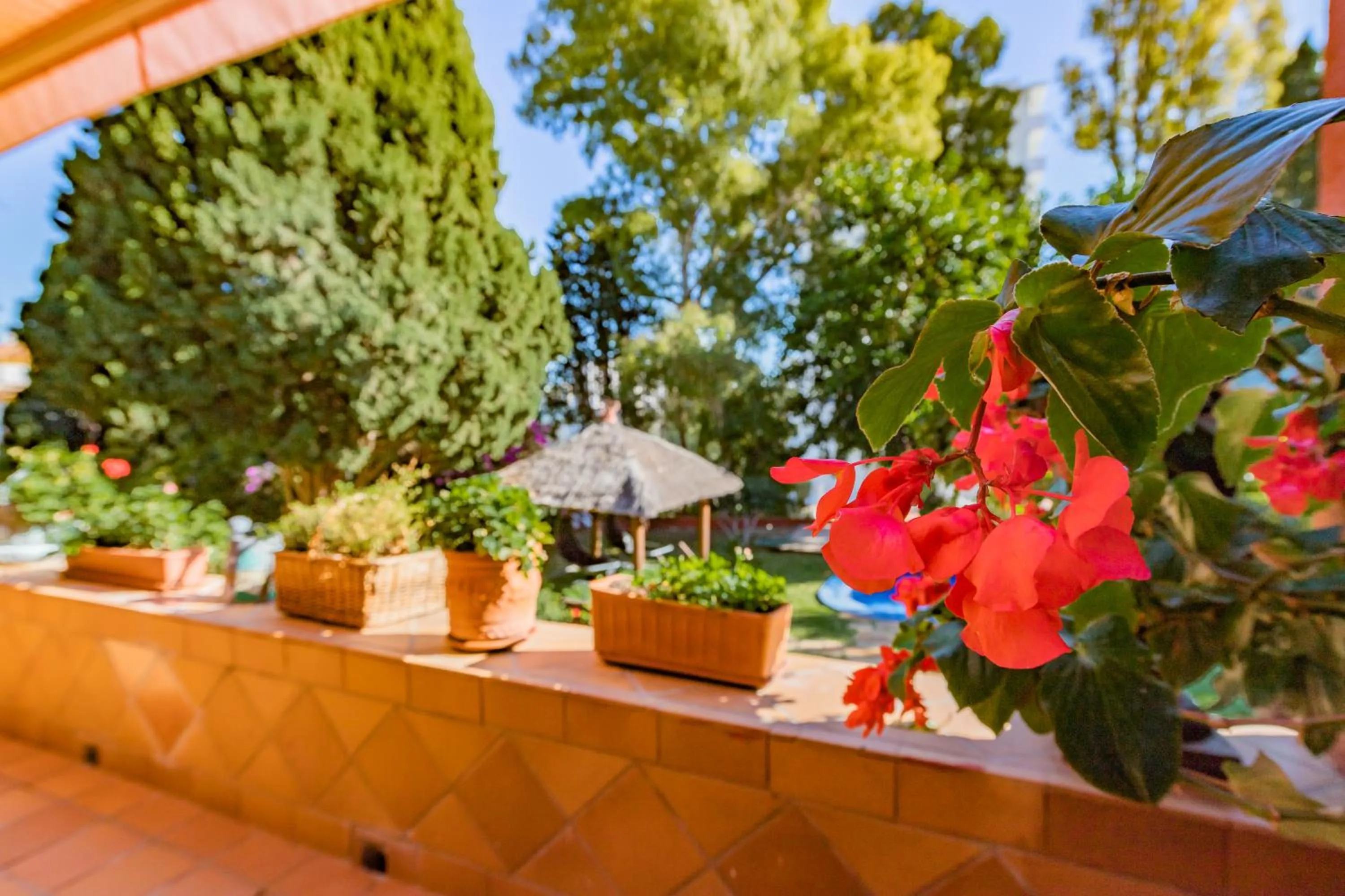 Balcony/Terrace in Casa Paraíso Boutique B&B