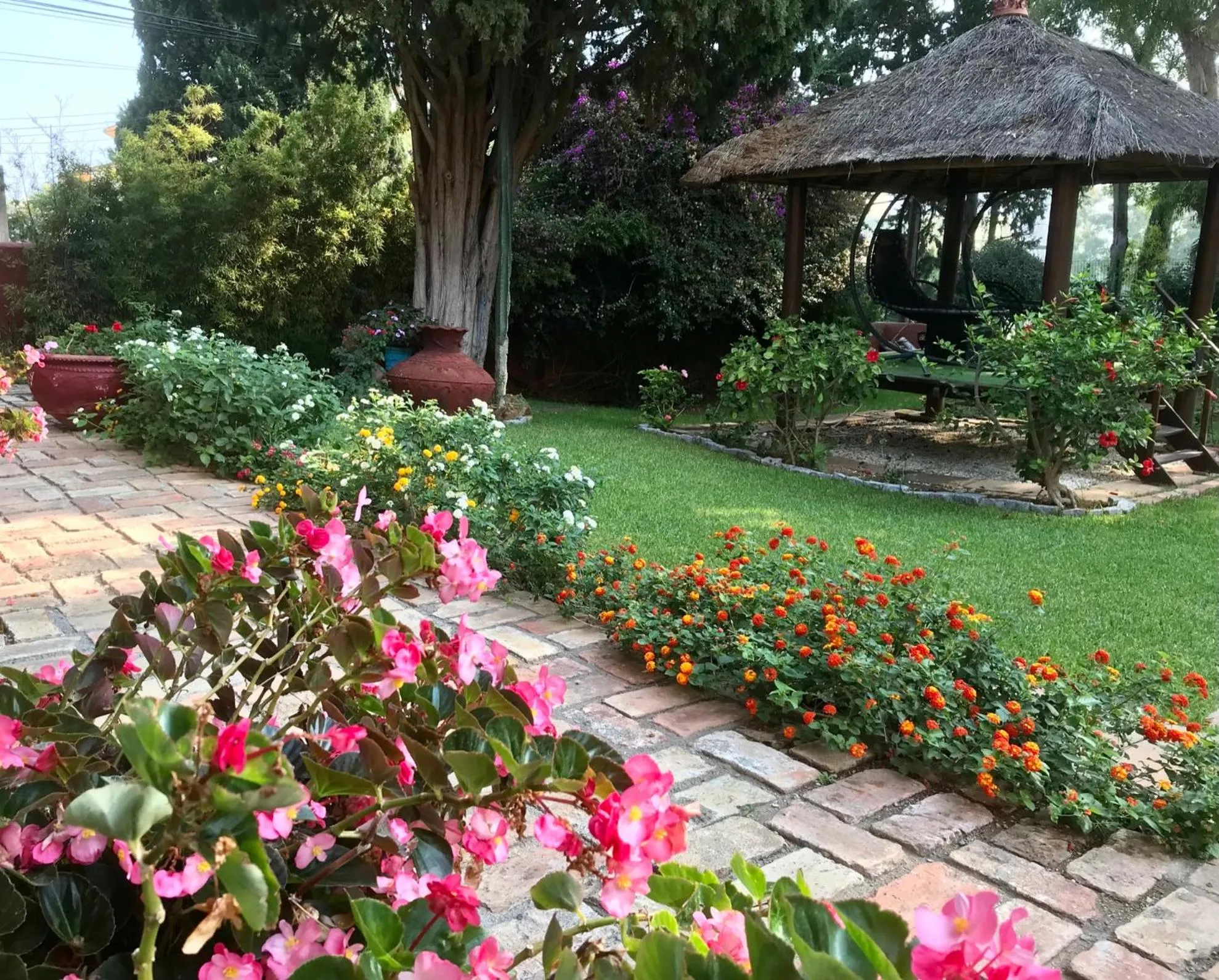 Garden in Casa Paraíso Boutique B&B