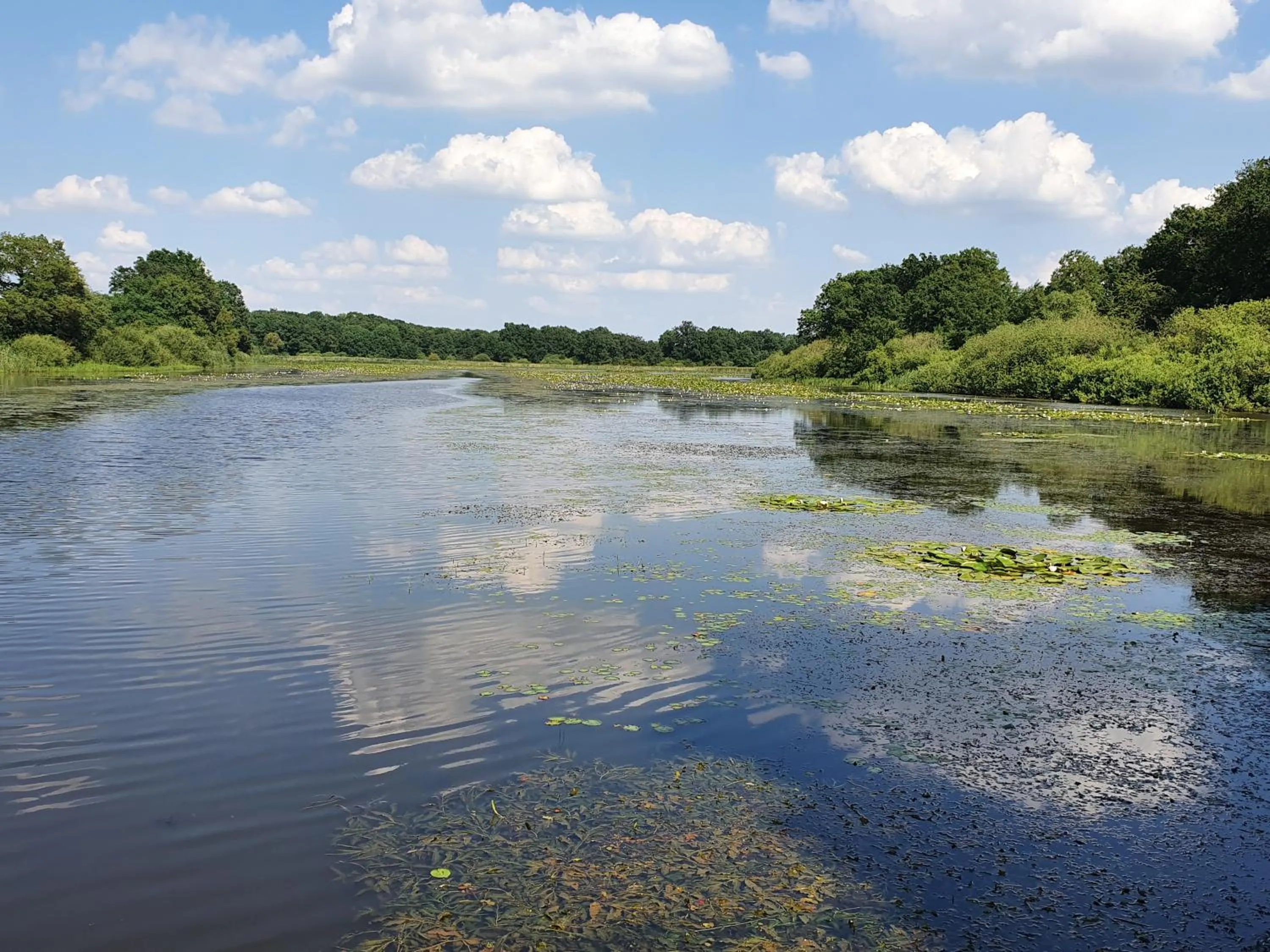 Nearby landmark in Eqynox Hotel