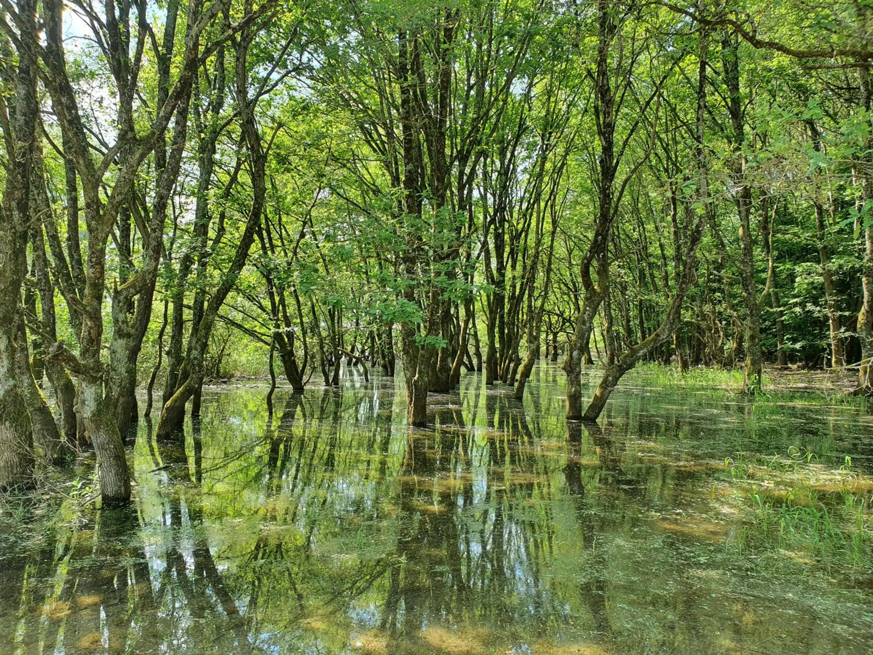 Nearby landmark in Eqynox Hotel