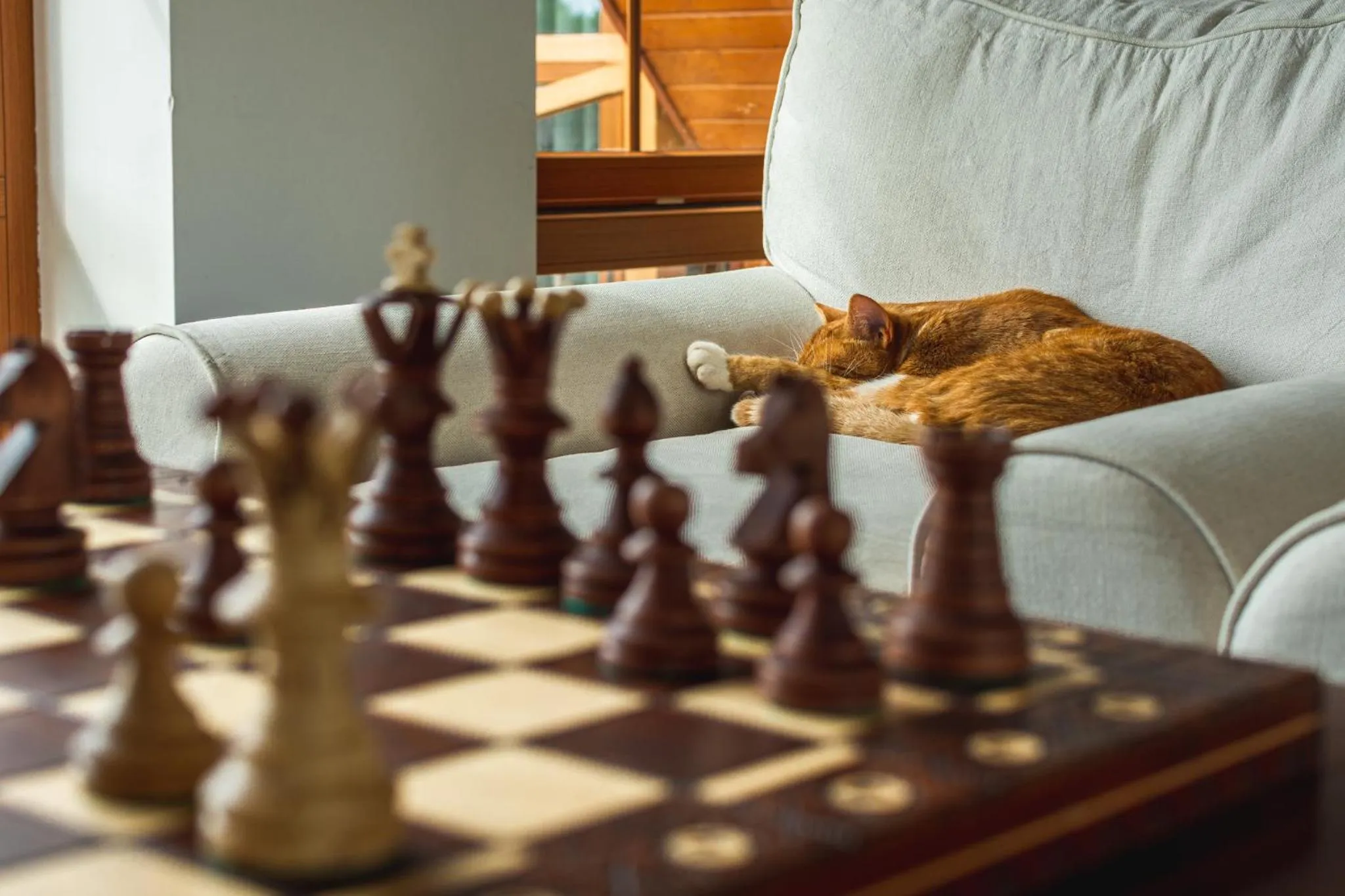 Pets in Pensjonat Rybical