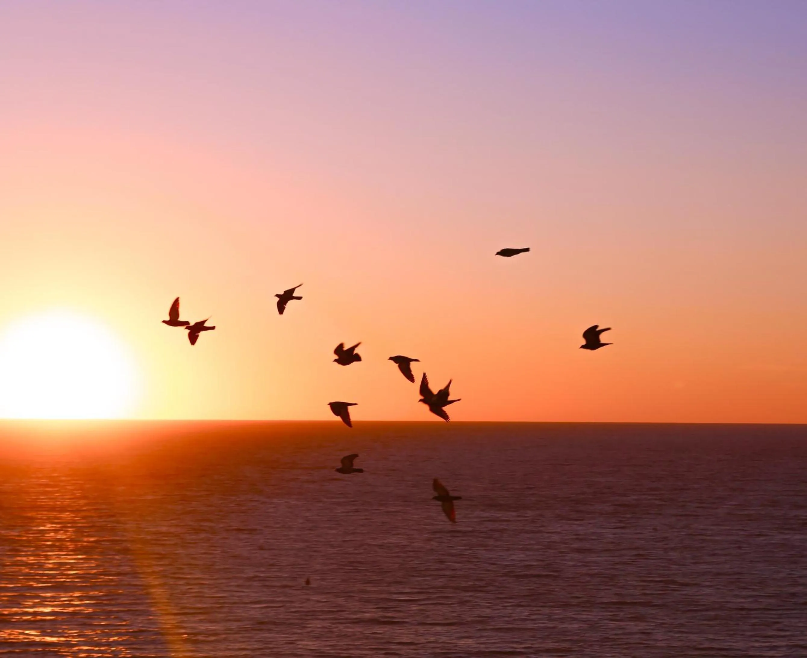 Atlantic City-Waterfront Park-Amazing 360 views