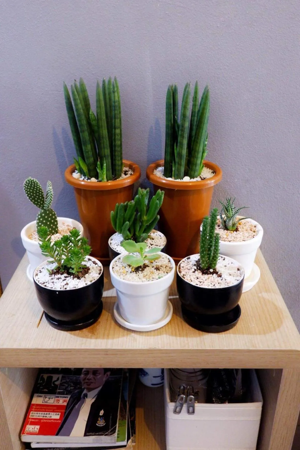 Rin GuestHouse Pracharak RD