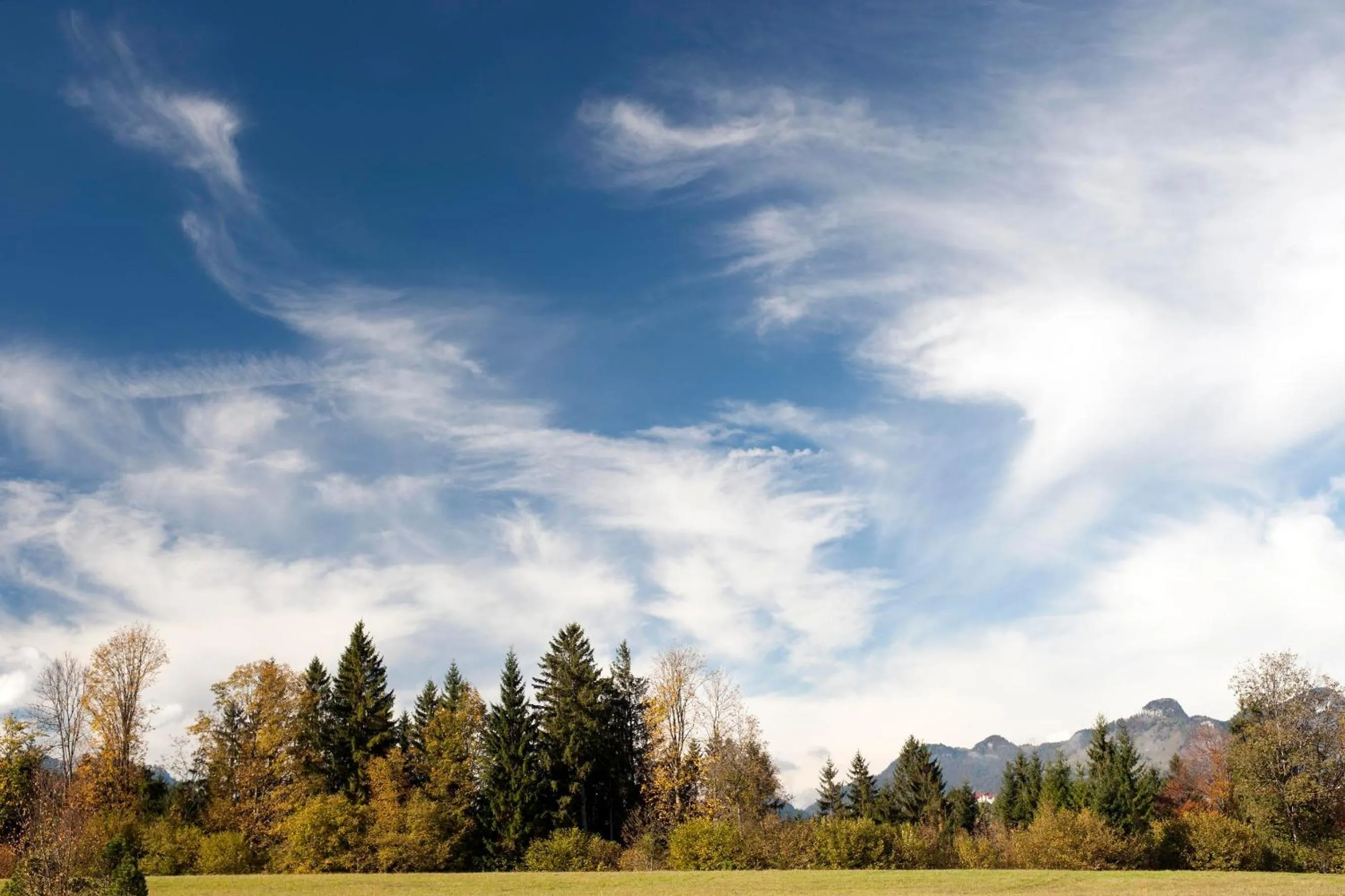 Natural landscape in Relais & Châteaux Gut Steinbach Hotel Chalets SPA