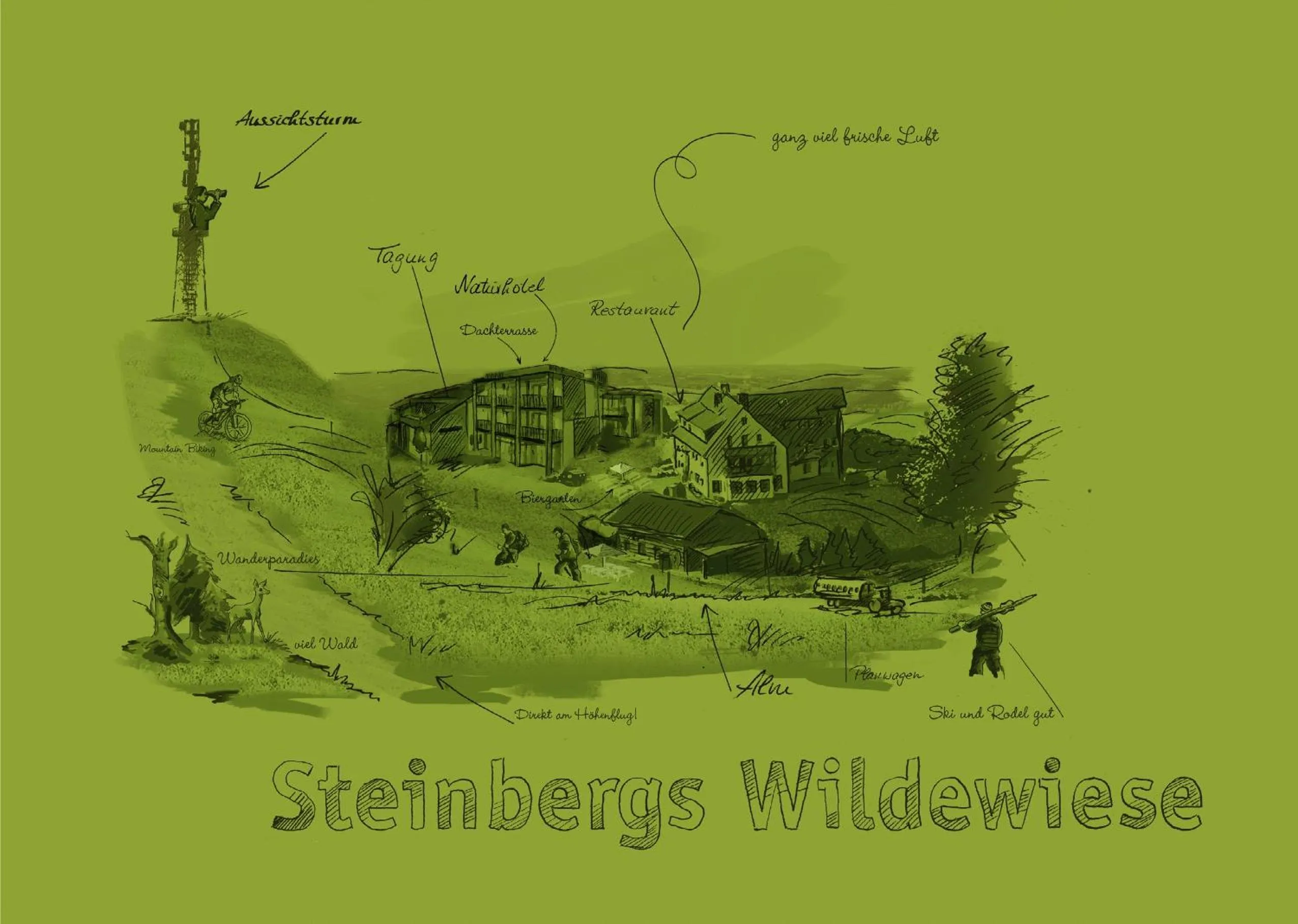 Bird's eye view in Steinbergs Wildewiese NaturHotel