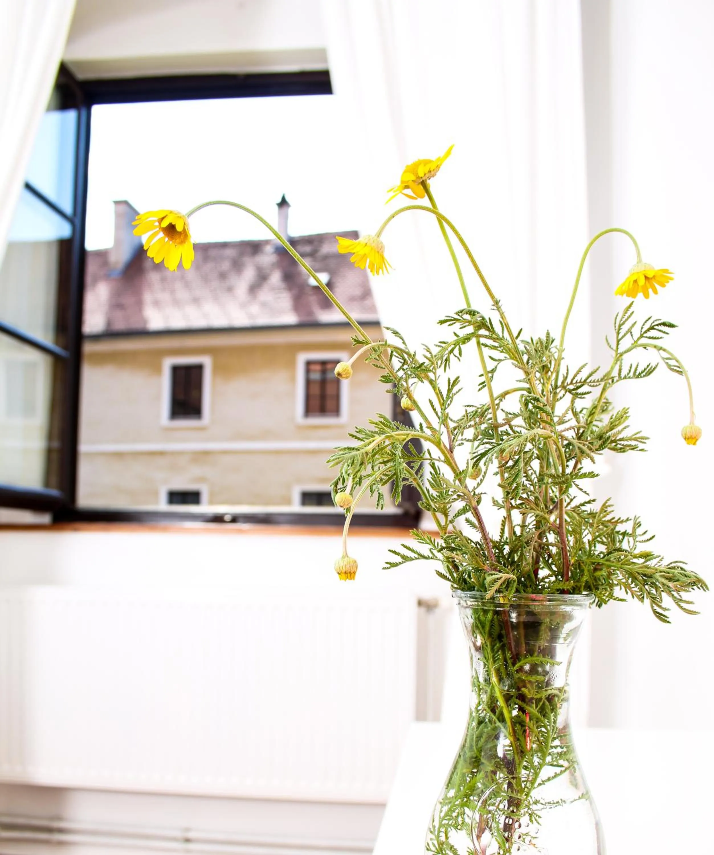 Property building in Hotel im Stift Neuberg