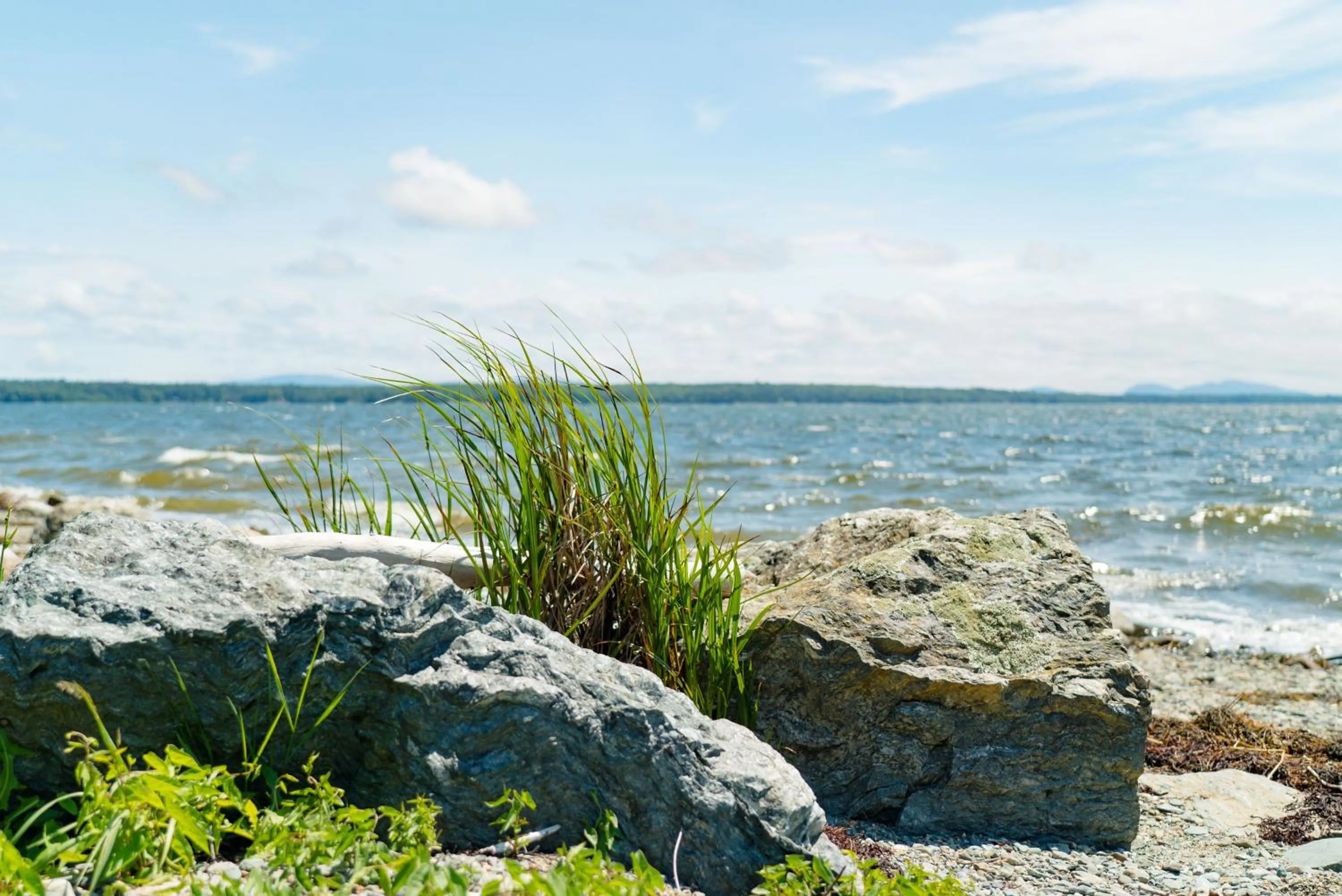 Natural landscape in Under Canvas Acadia