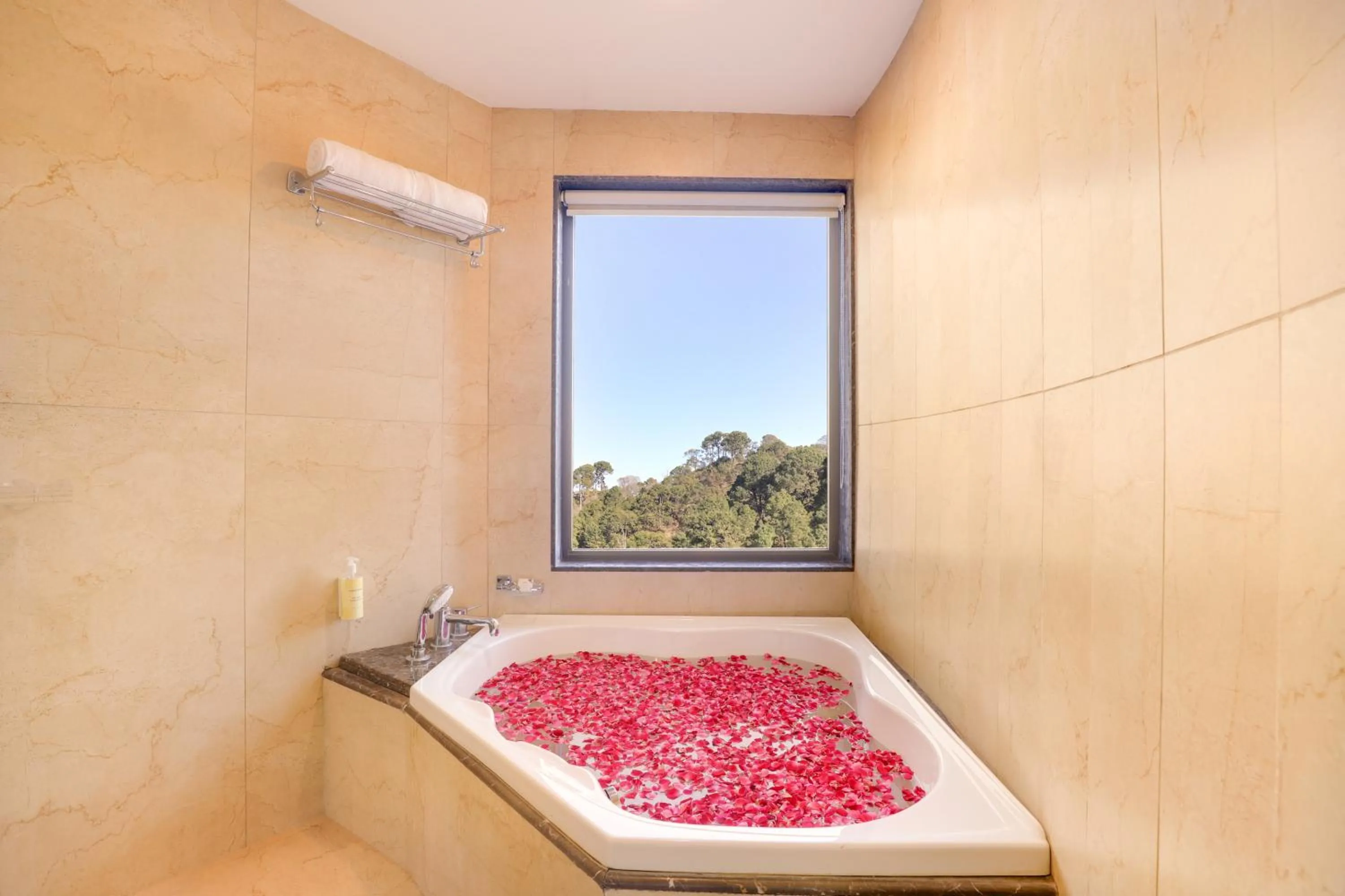 Bath in The Chateau Kasauli