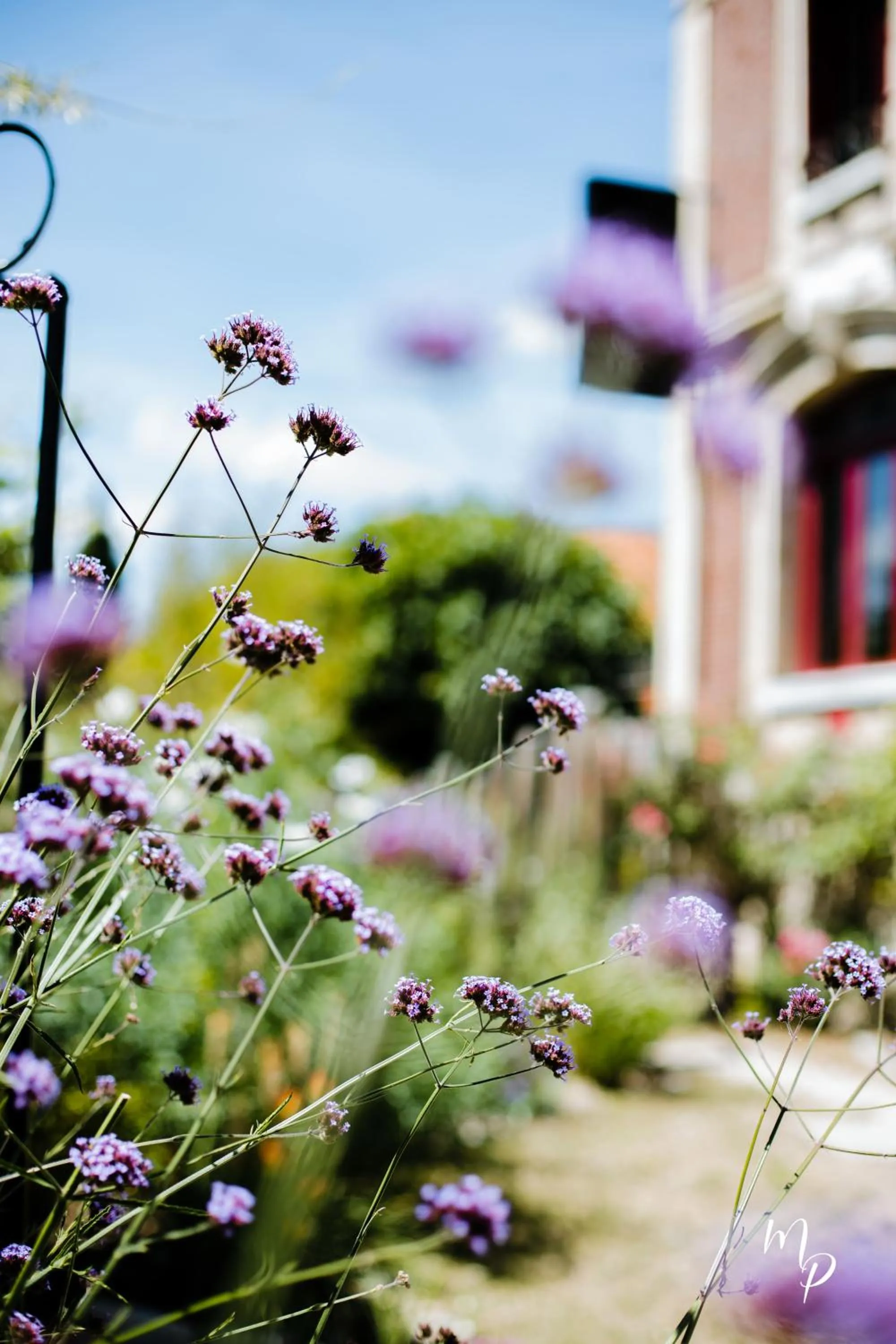 Garden in Hotel Restaurant La Musardiere