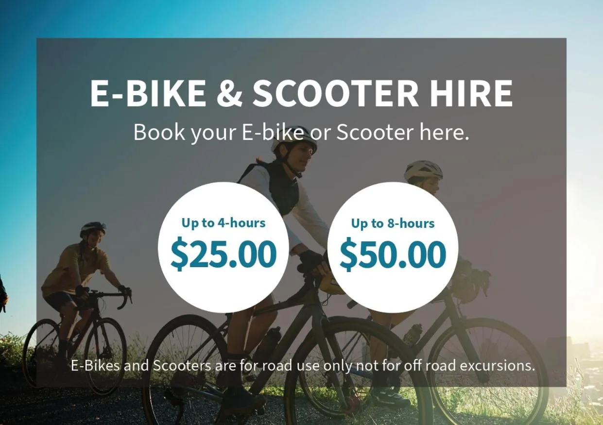 Activities in Kaikoura Beach Motel