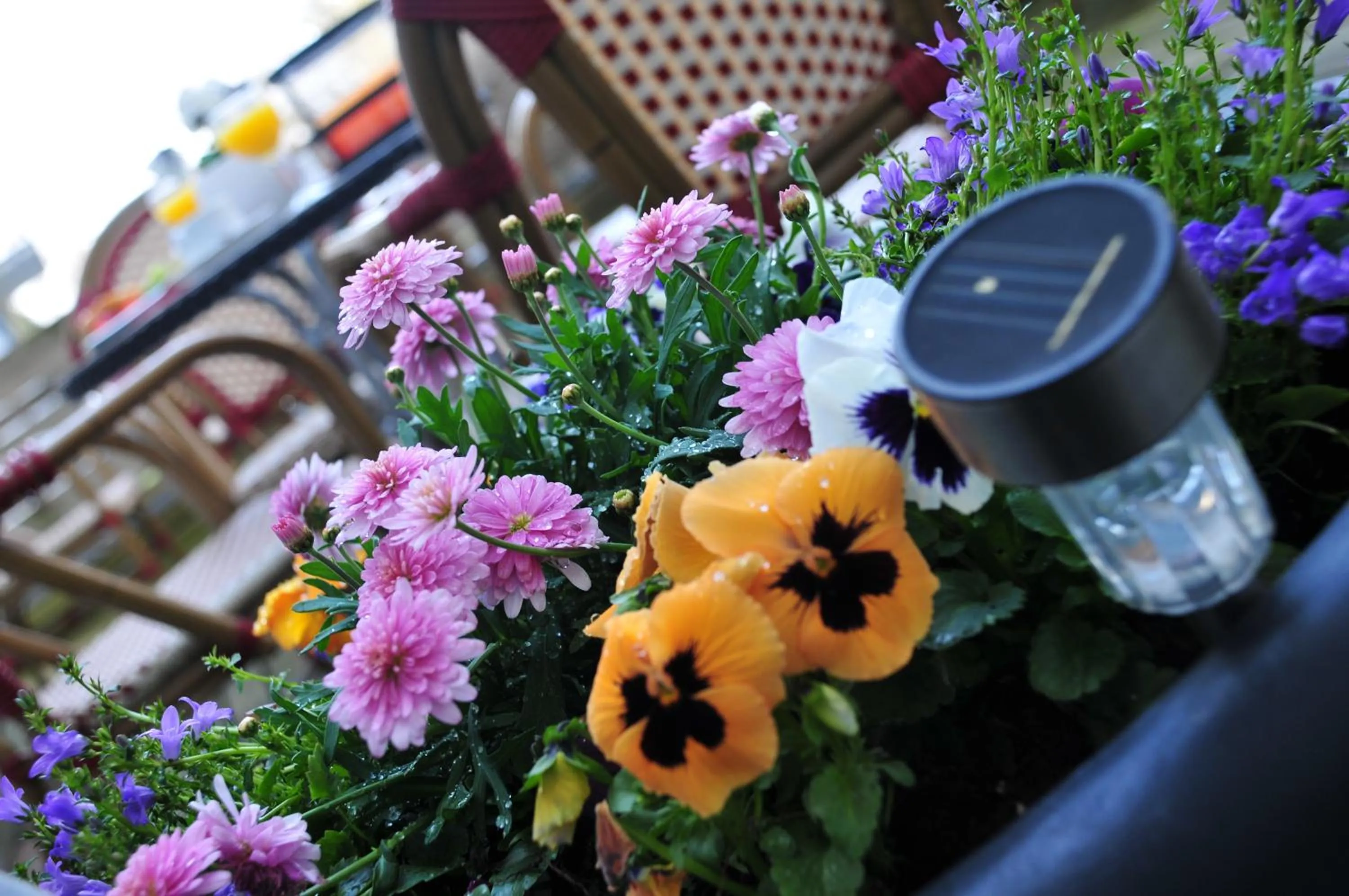 Spring in Hotel in Herrenhausen