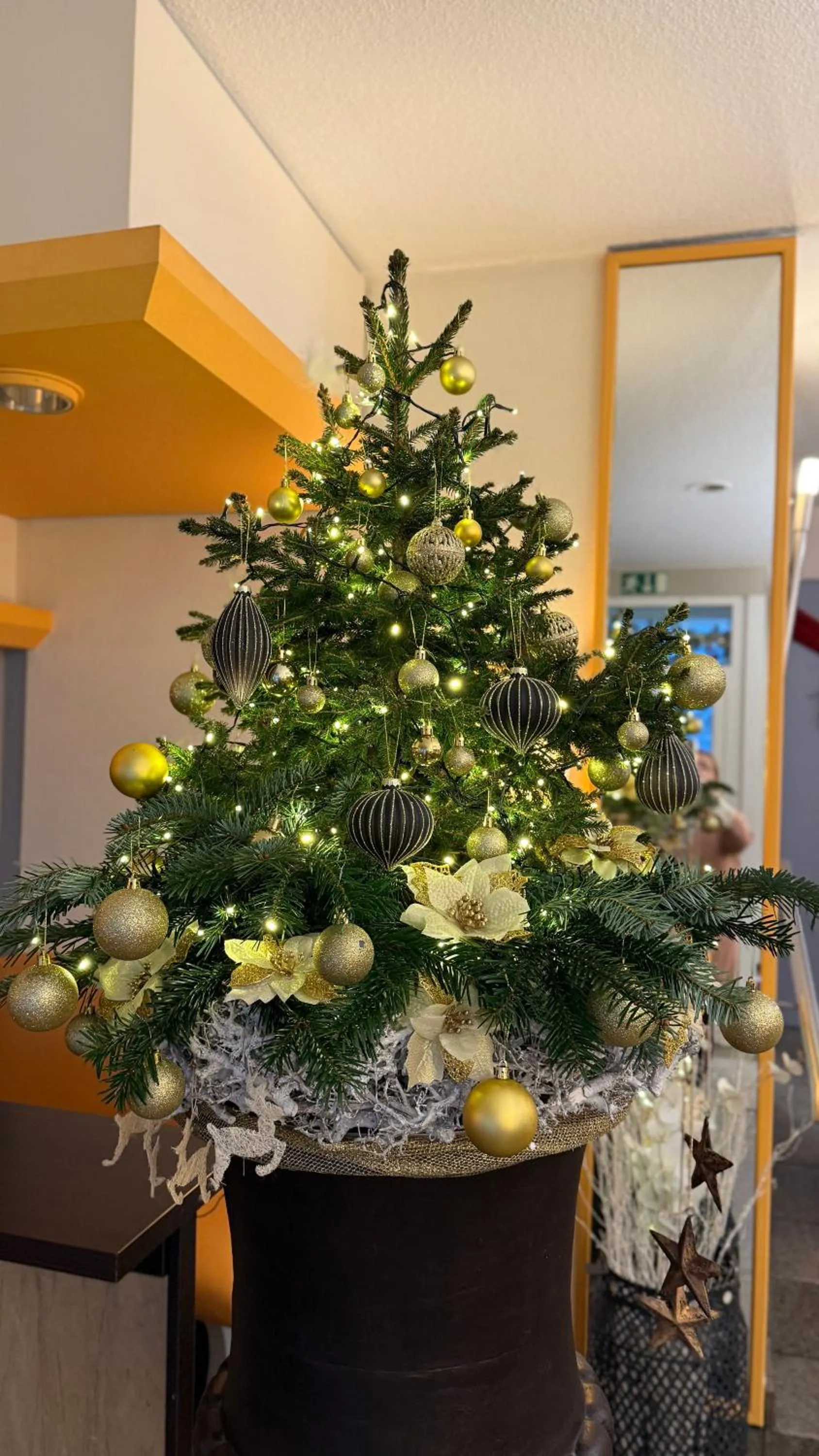 Property building in Hotel Cascade Superior