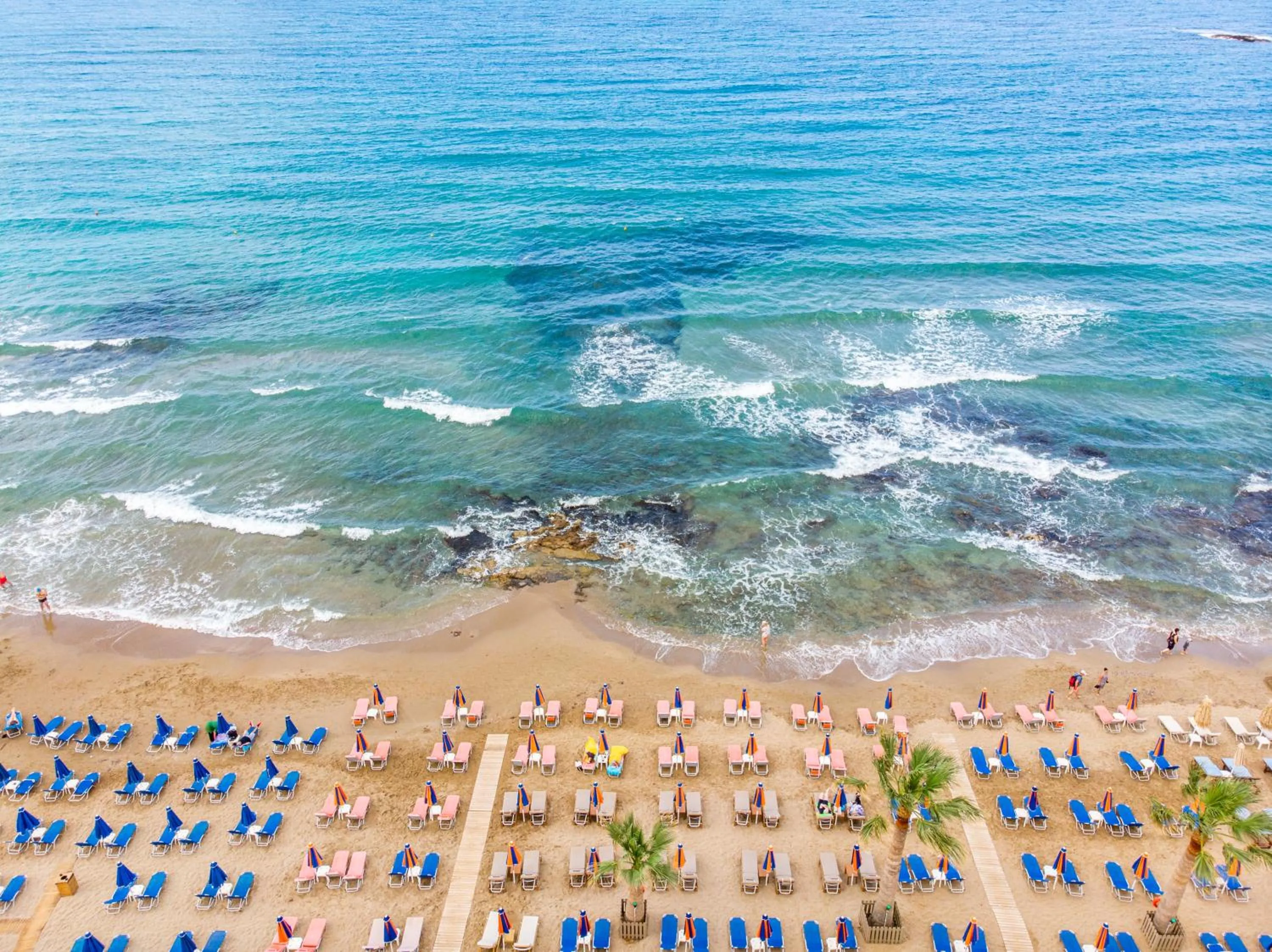 Beach in Alexandra Apartments
