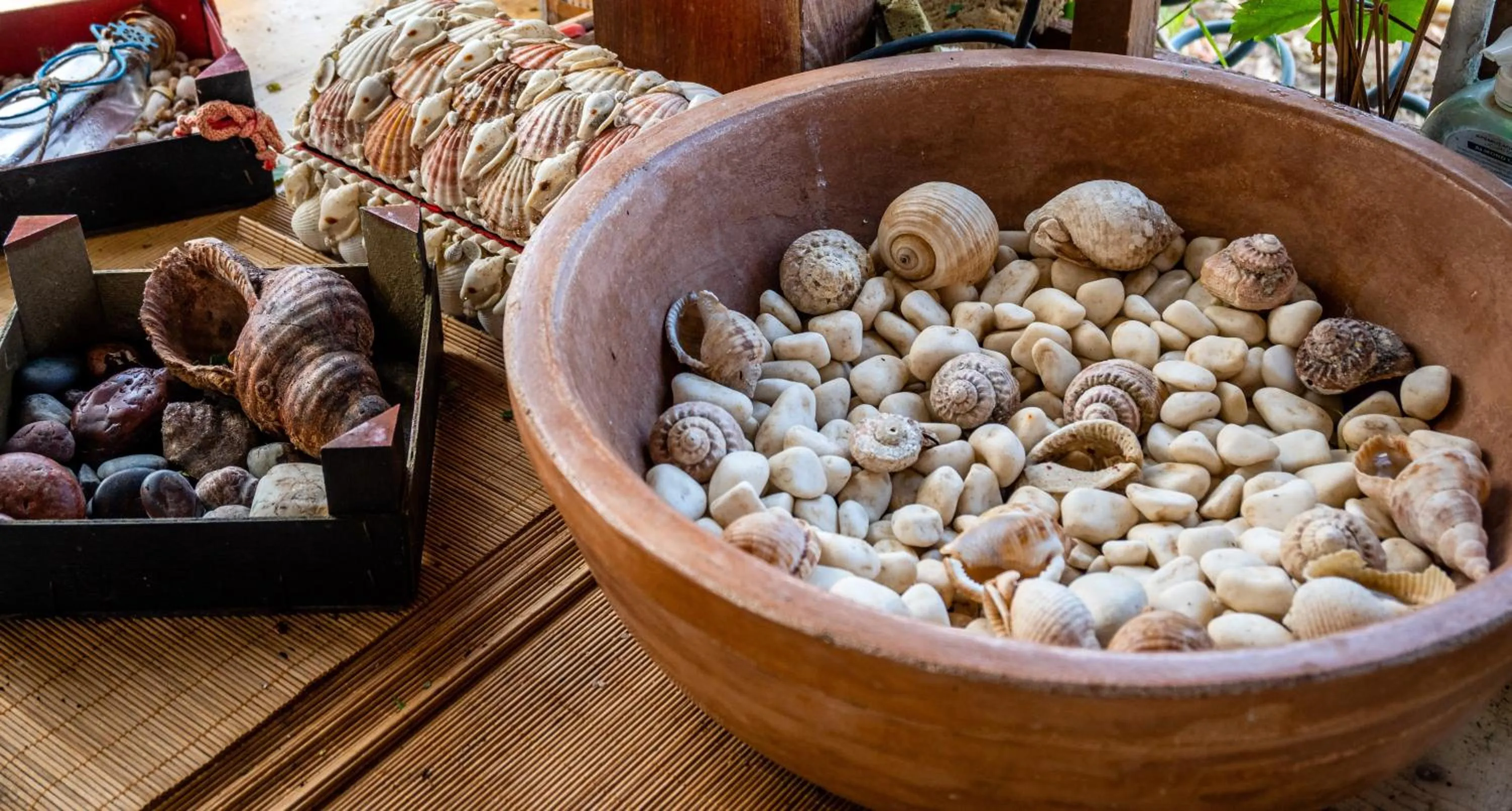 Property building in Alexandra Apartments