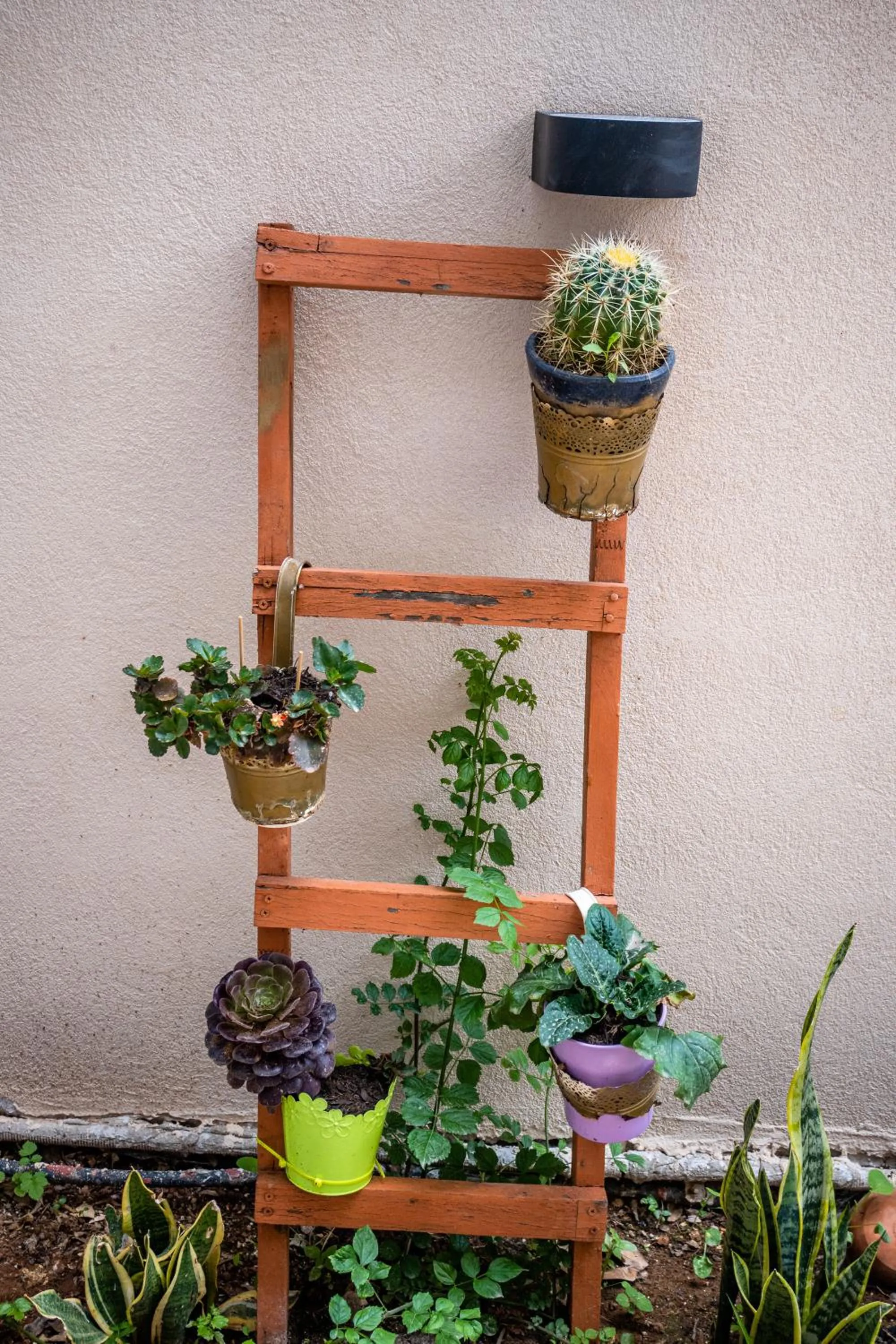 Garden view in Alexandra Apartments