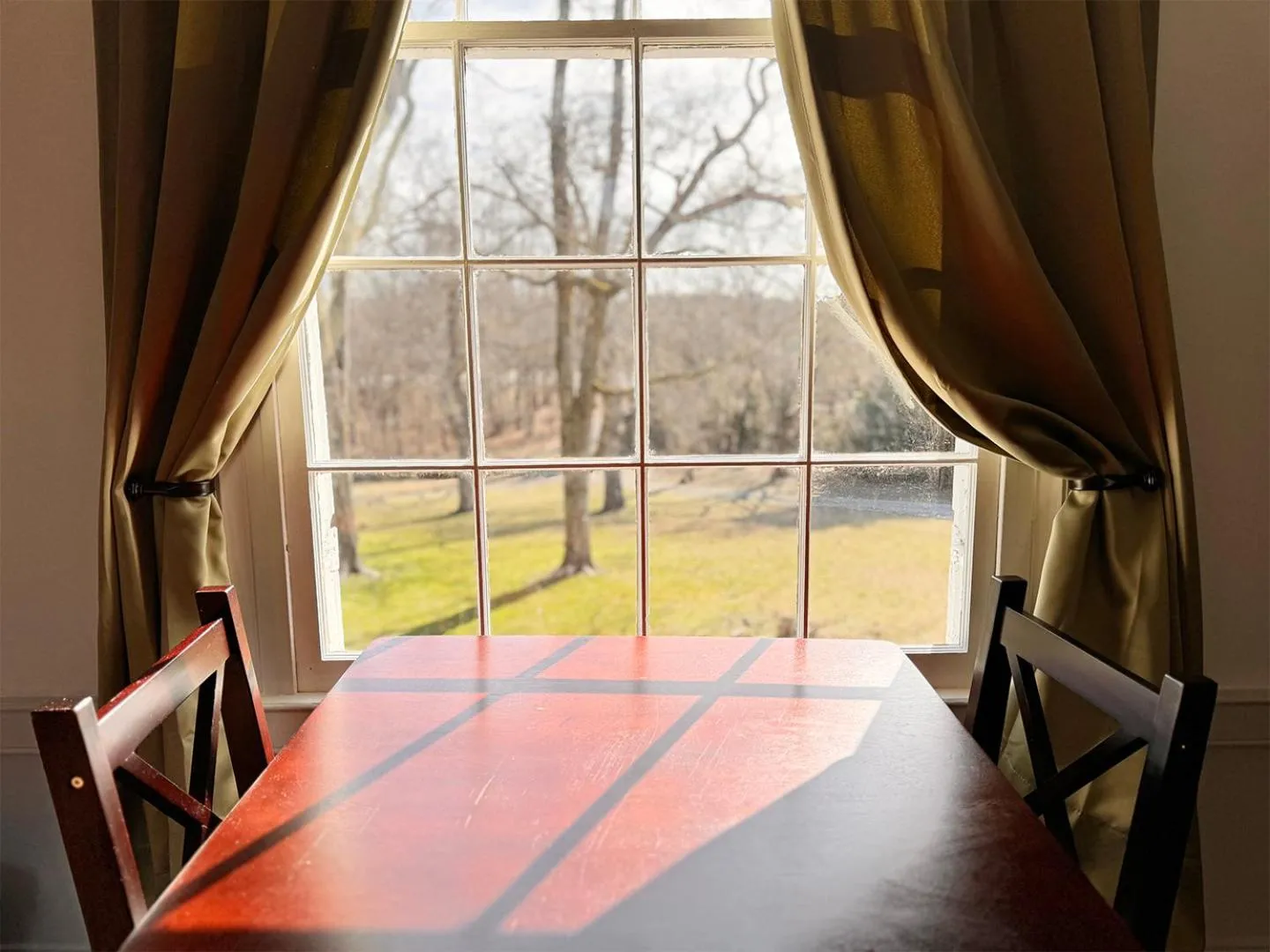 Garden view in The Sunnyside Sisters Bed and Breakfast