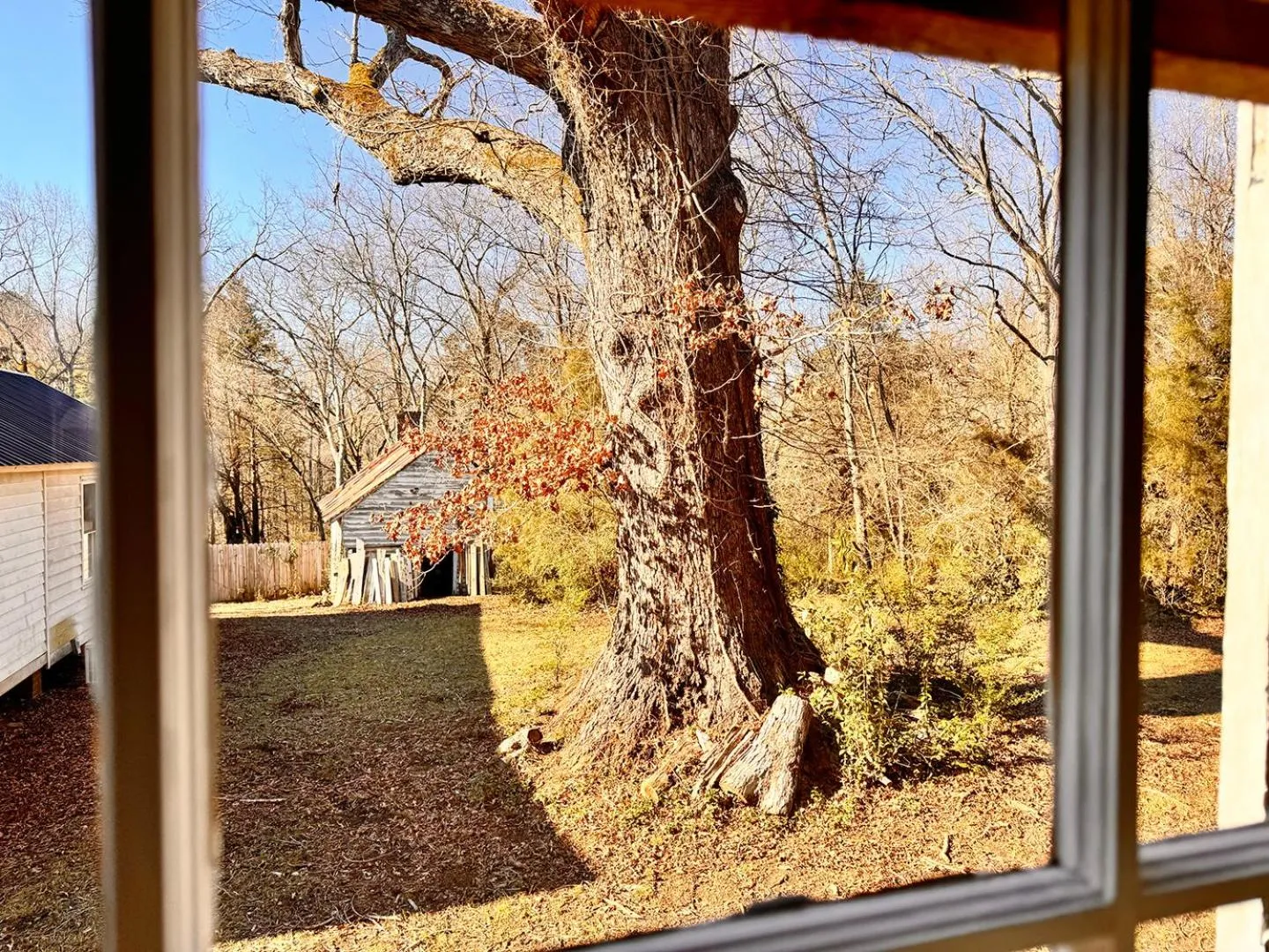 Garden view in The Sunnyside Sisters Bed and Breakfast