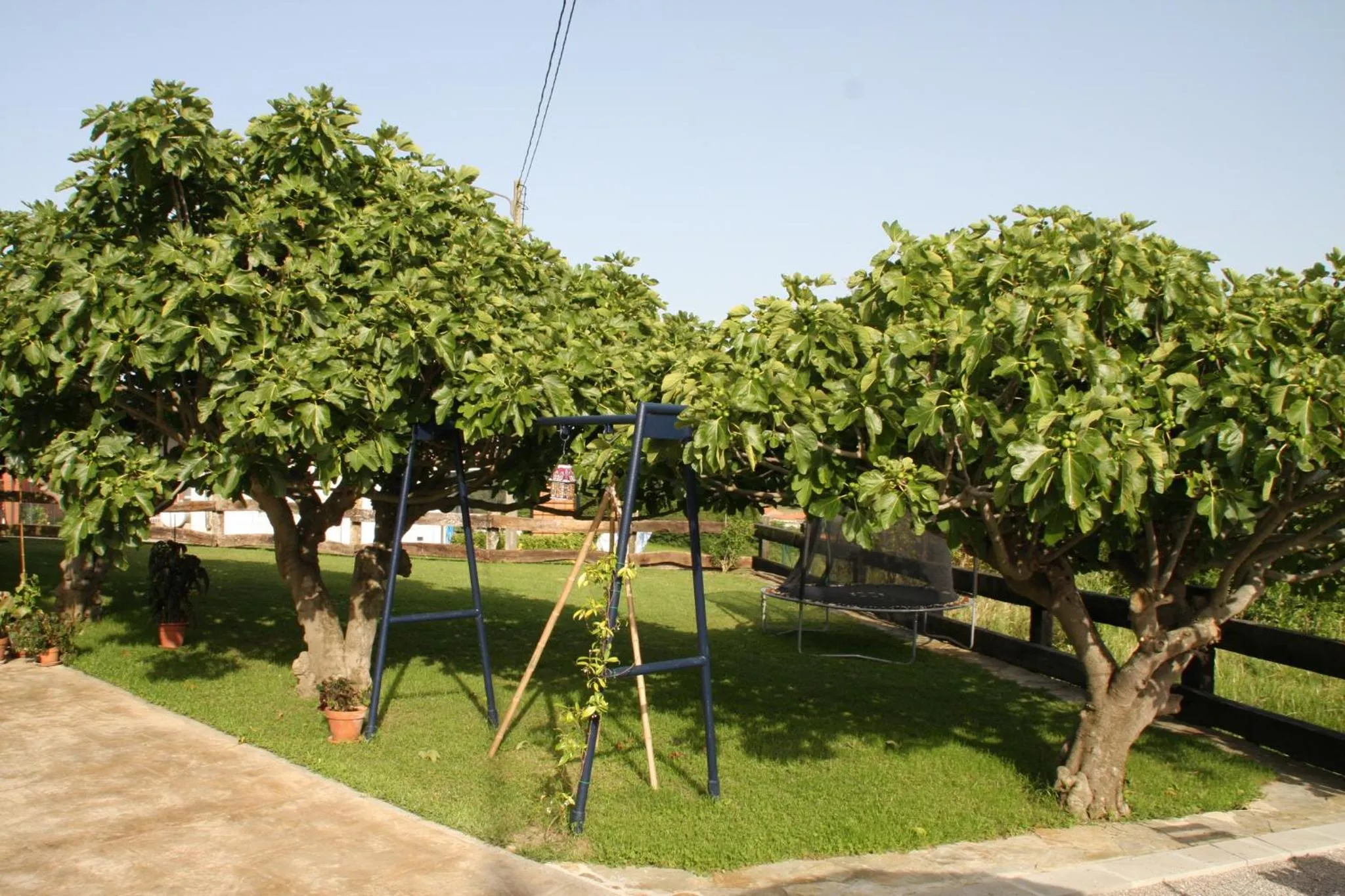 Garden in La Casuca de Mamina
