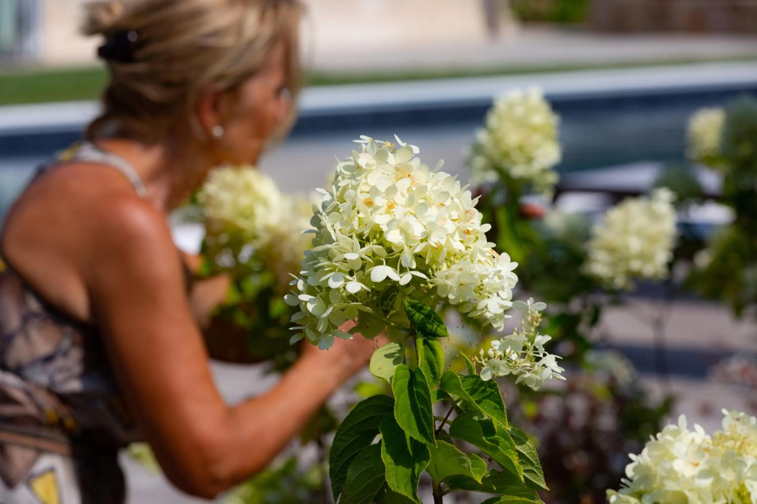 Garden in Casa Massaro Todeschini