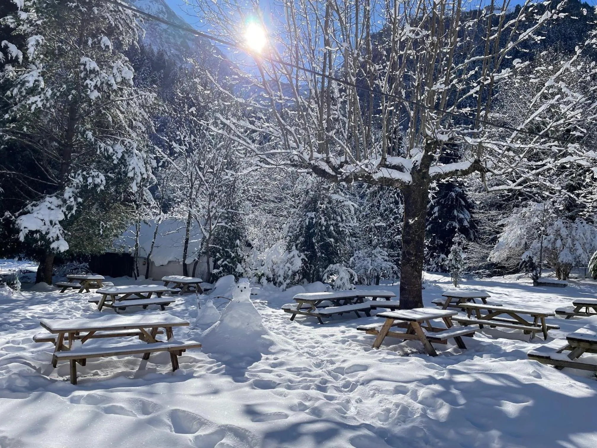 Garden in Hotel O Chiroulet
