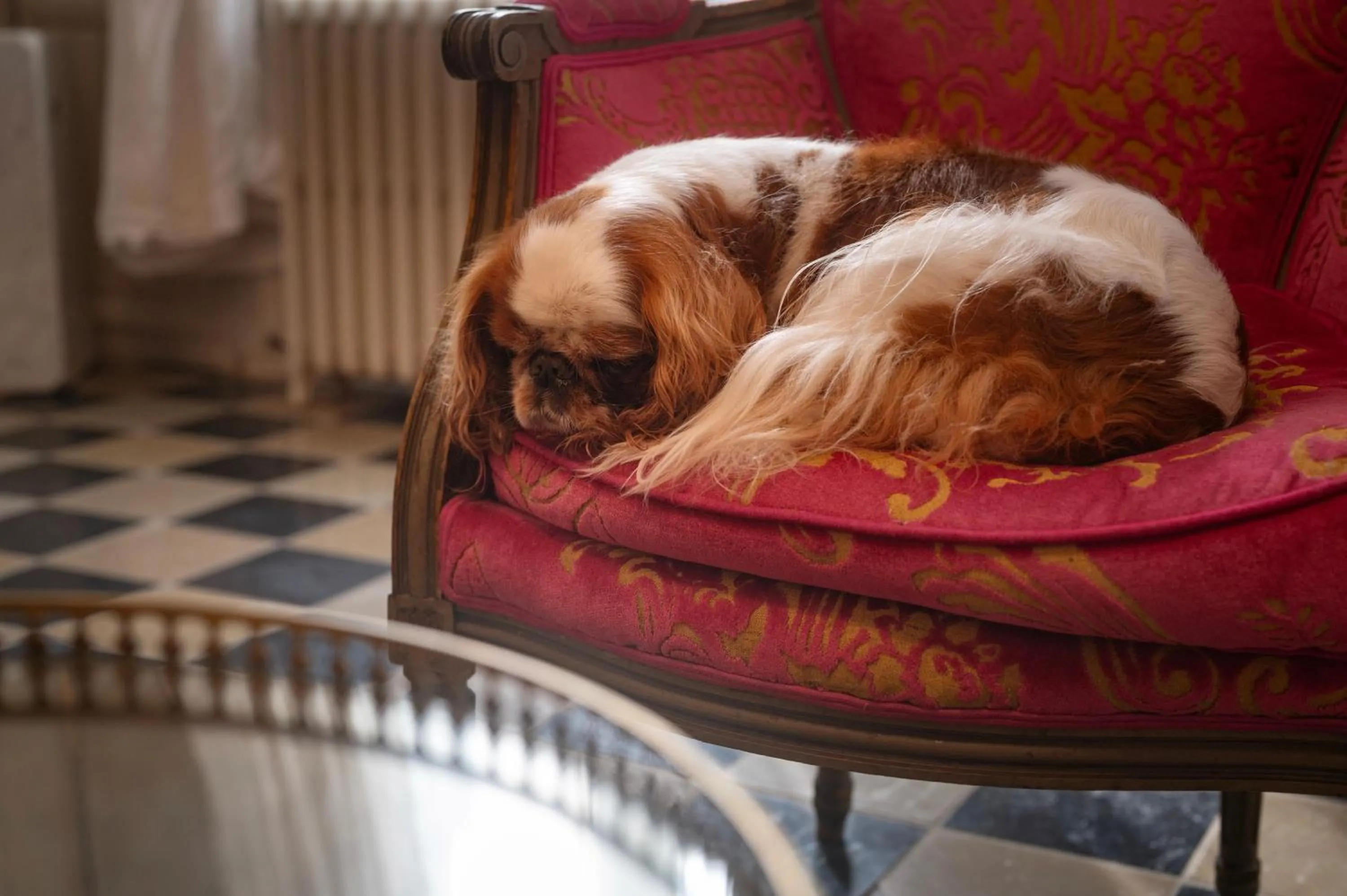 les Myrrhophores et Spa, Chambres d'Hôtes et Gîtes de charme