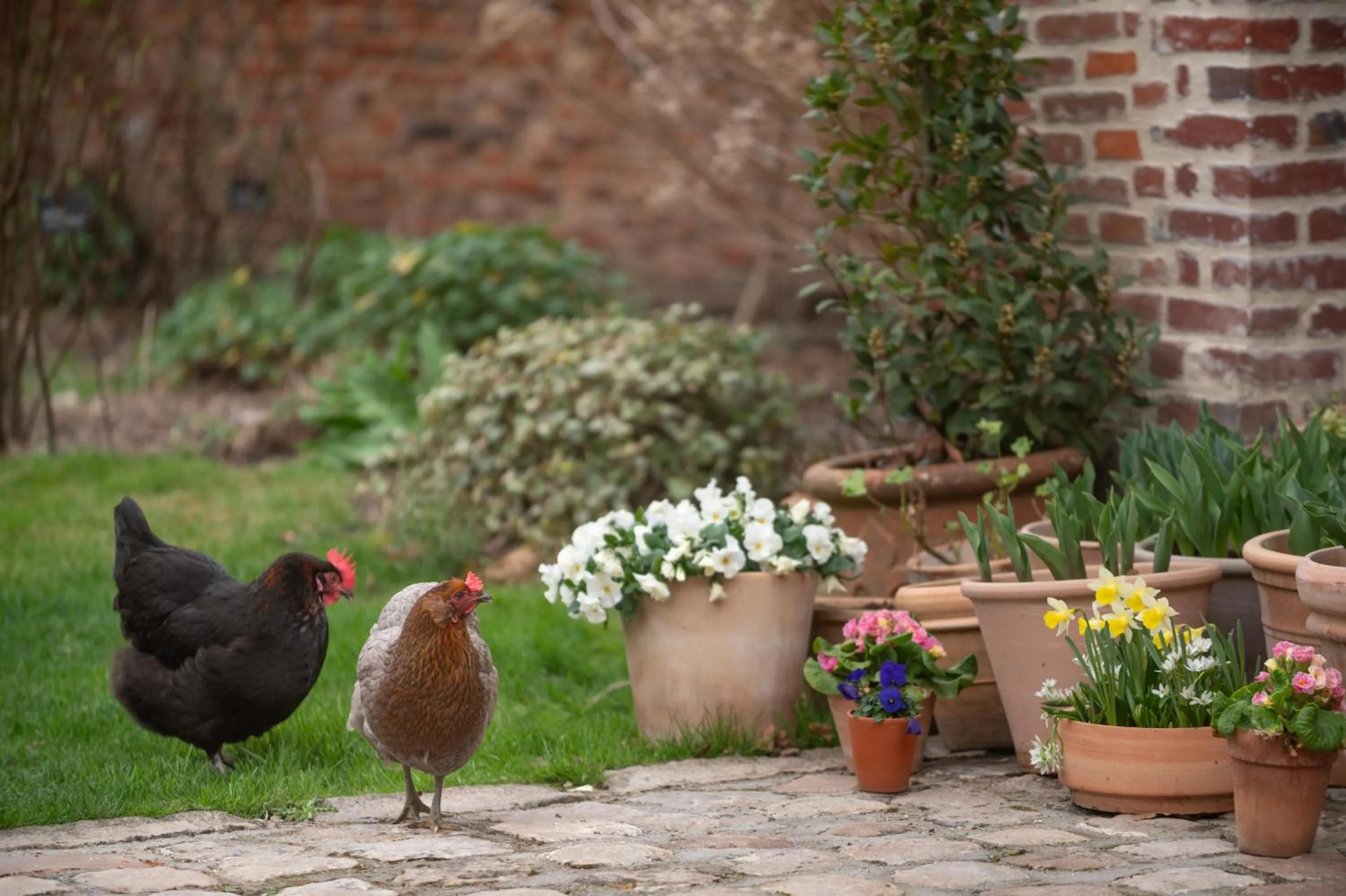 les Myrrhophores et Spa, Chambres d'Hôtes et Gîtes de charme