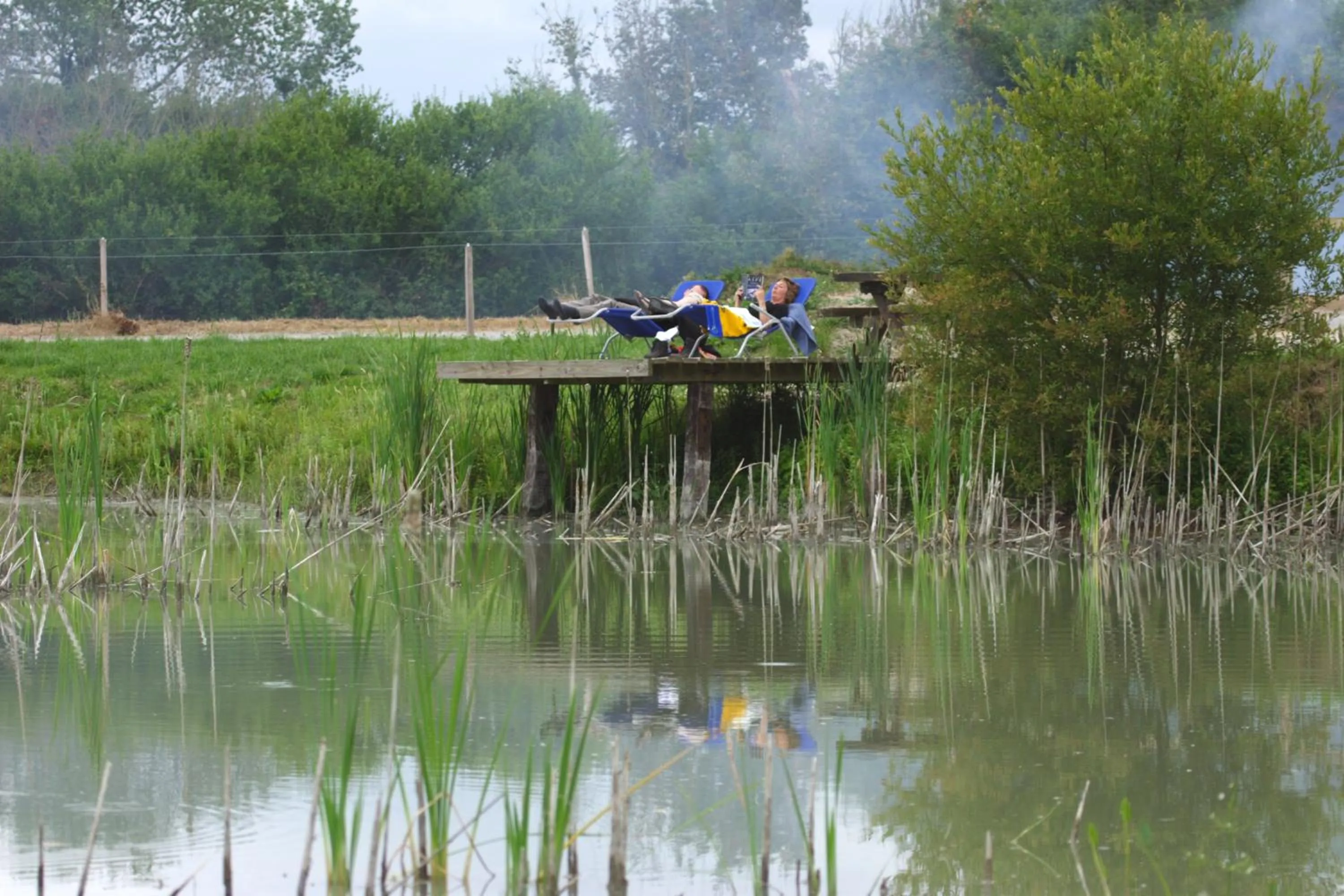Area and facilities in Domaine Utah Beach - Le Grand Hard