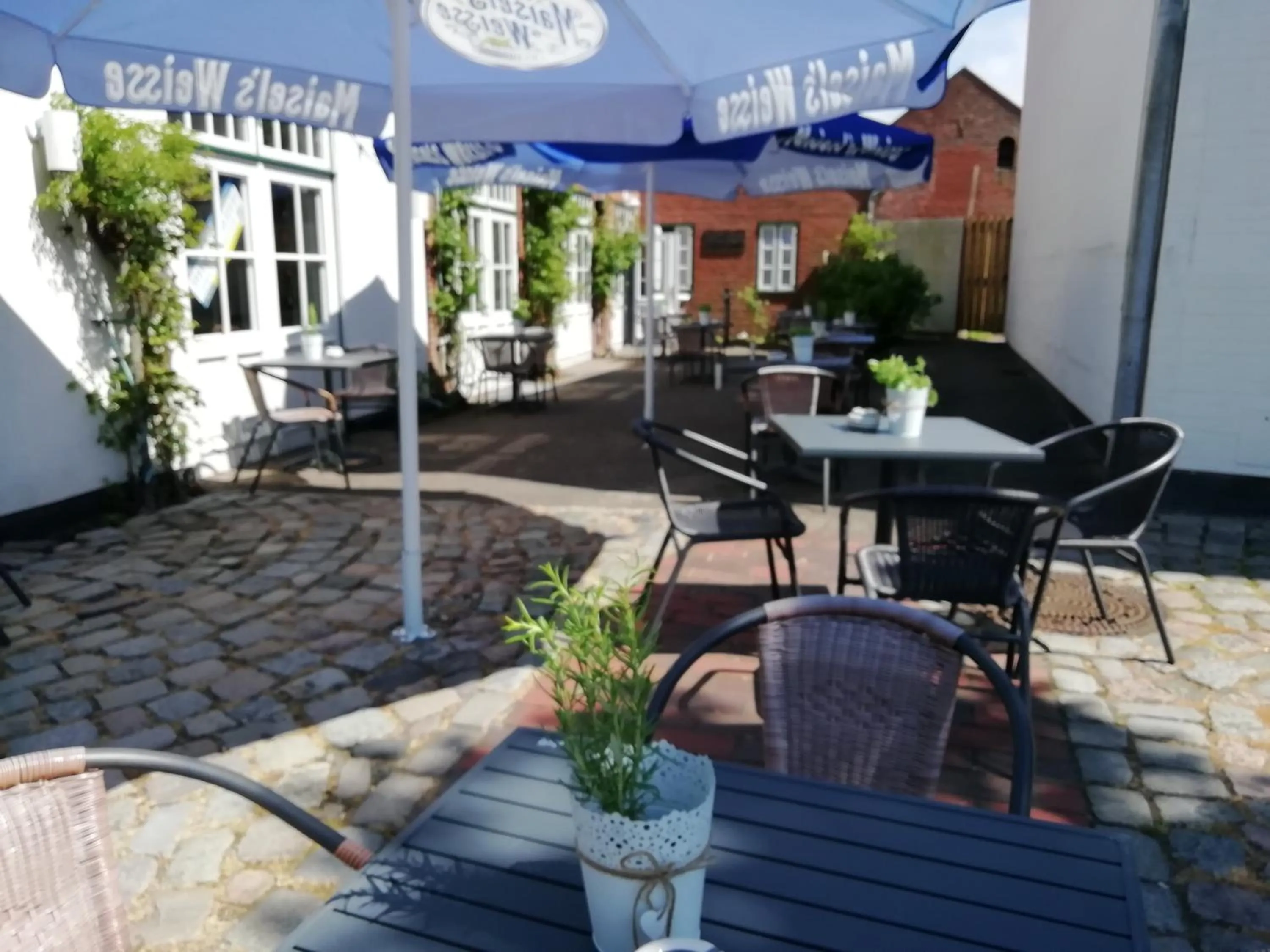 Patio in Hotel Zur Linde