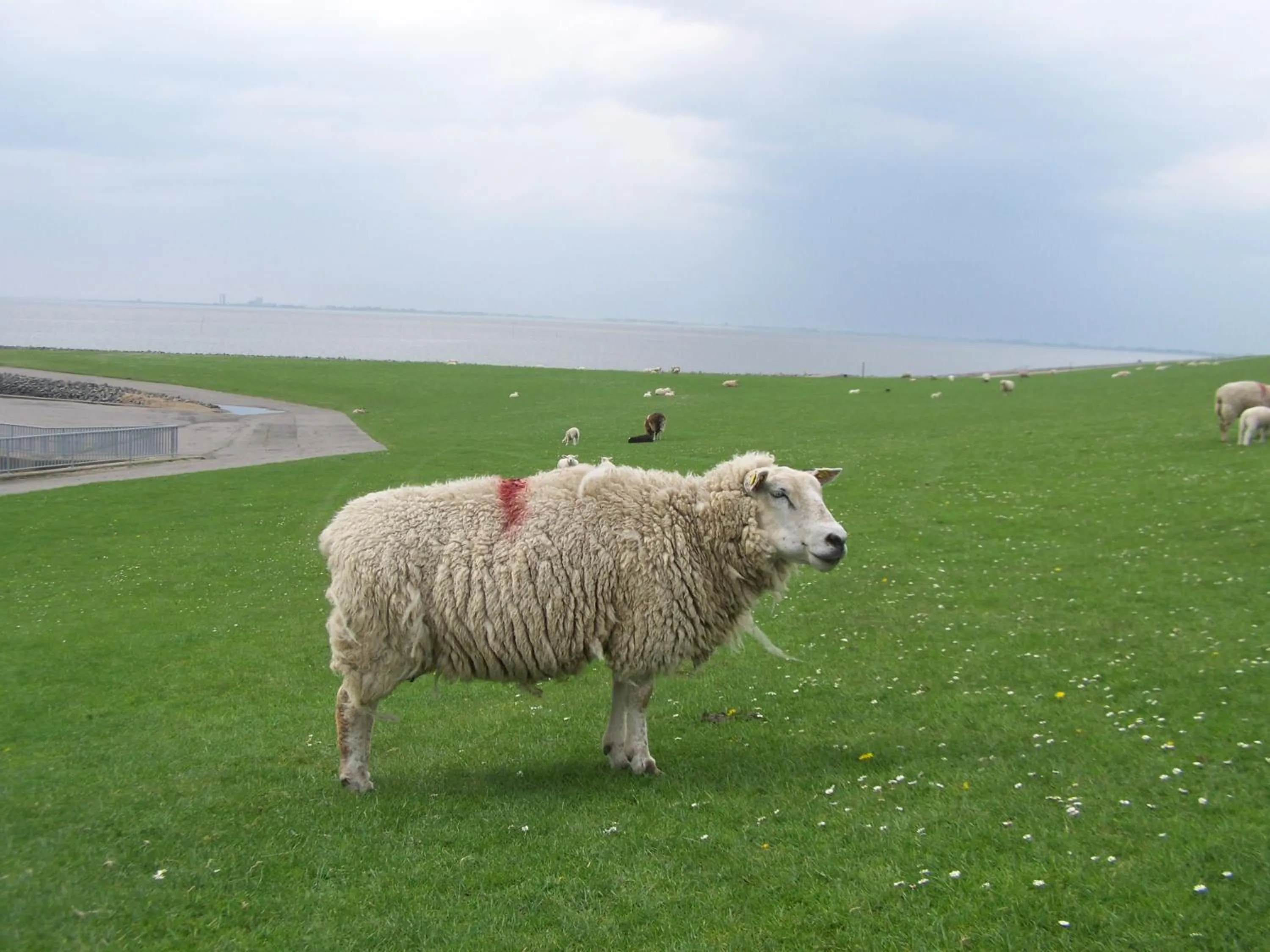 Beach in Hotel Zur Linde