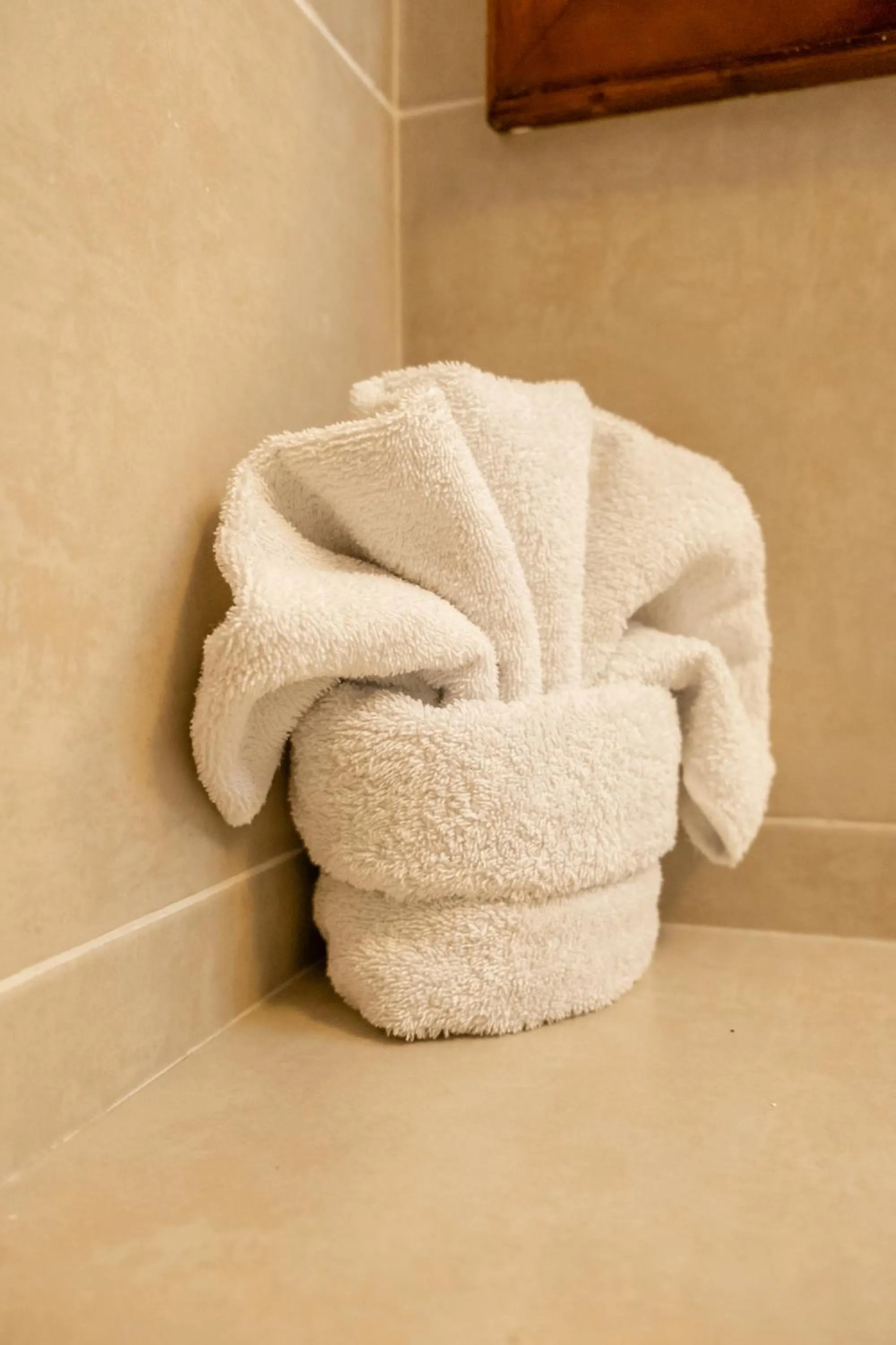 towels in Hotel Pelicano