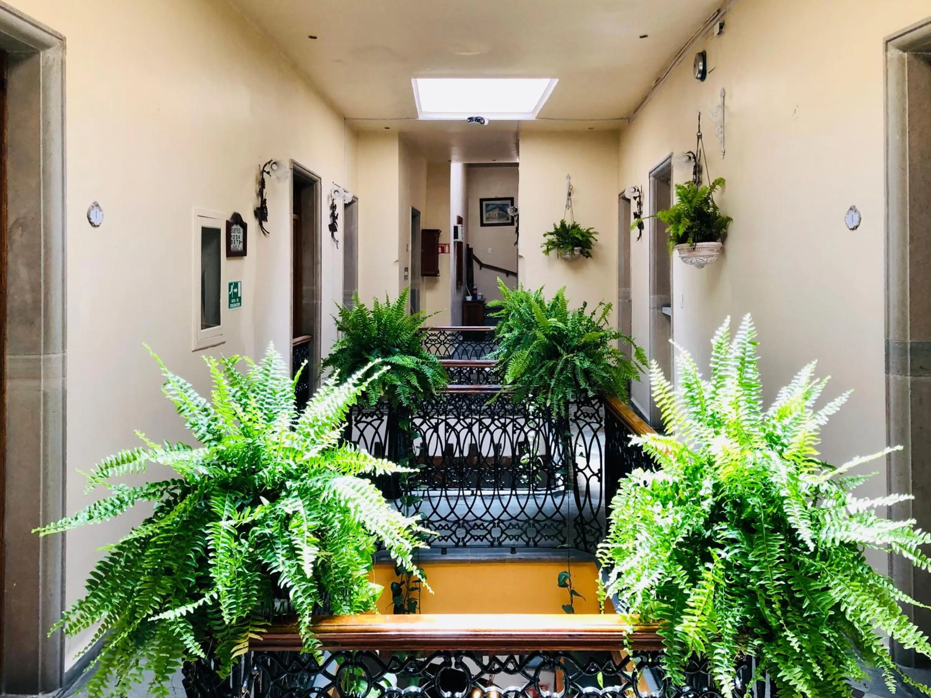 Area and facilities in Hotel Boutique Casa de las Manrique