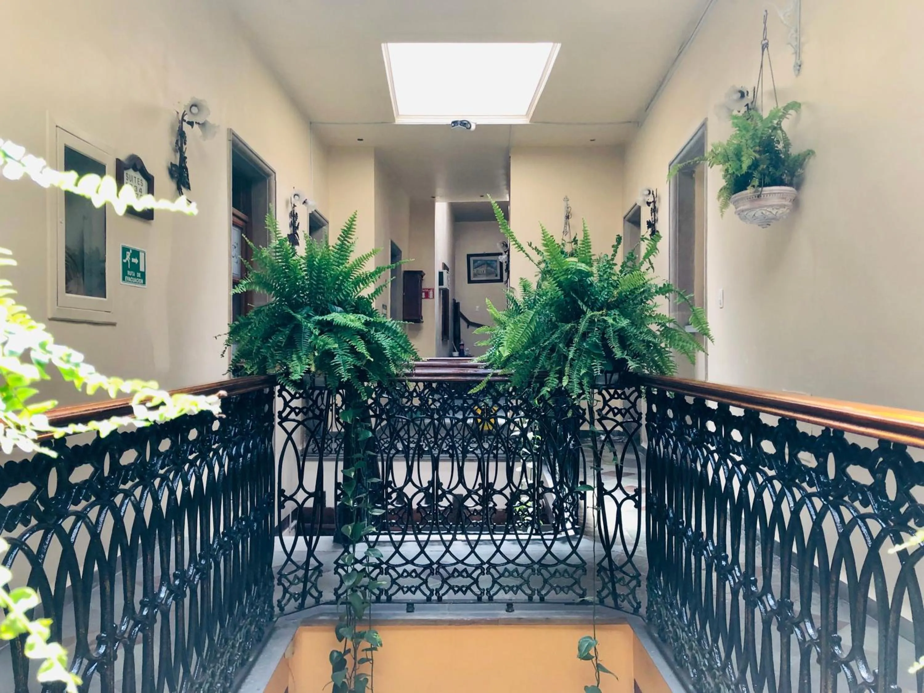 Area and facilities in Hotel Boutique Casa de las Manrique