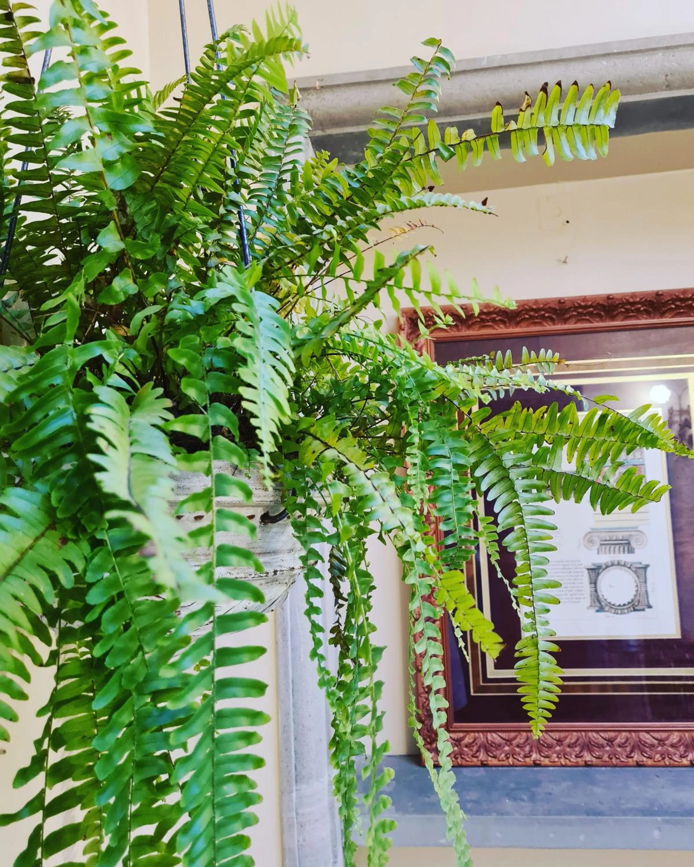 Hotel Boutique Casa de las Manrique