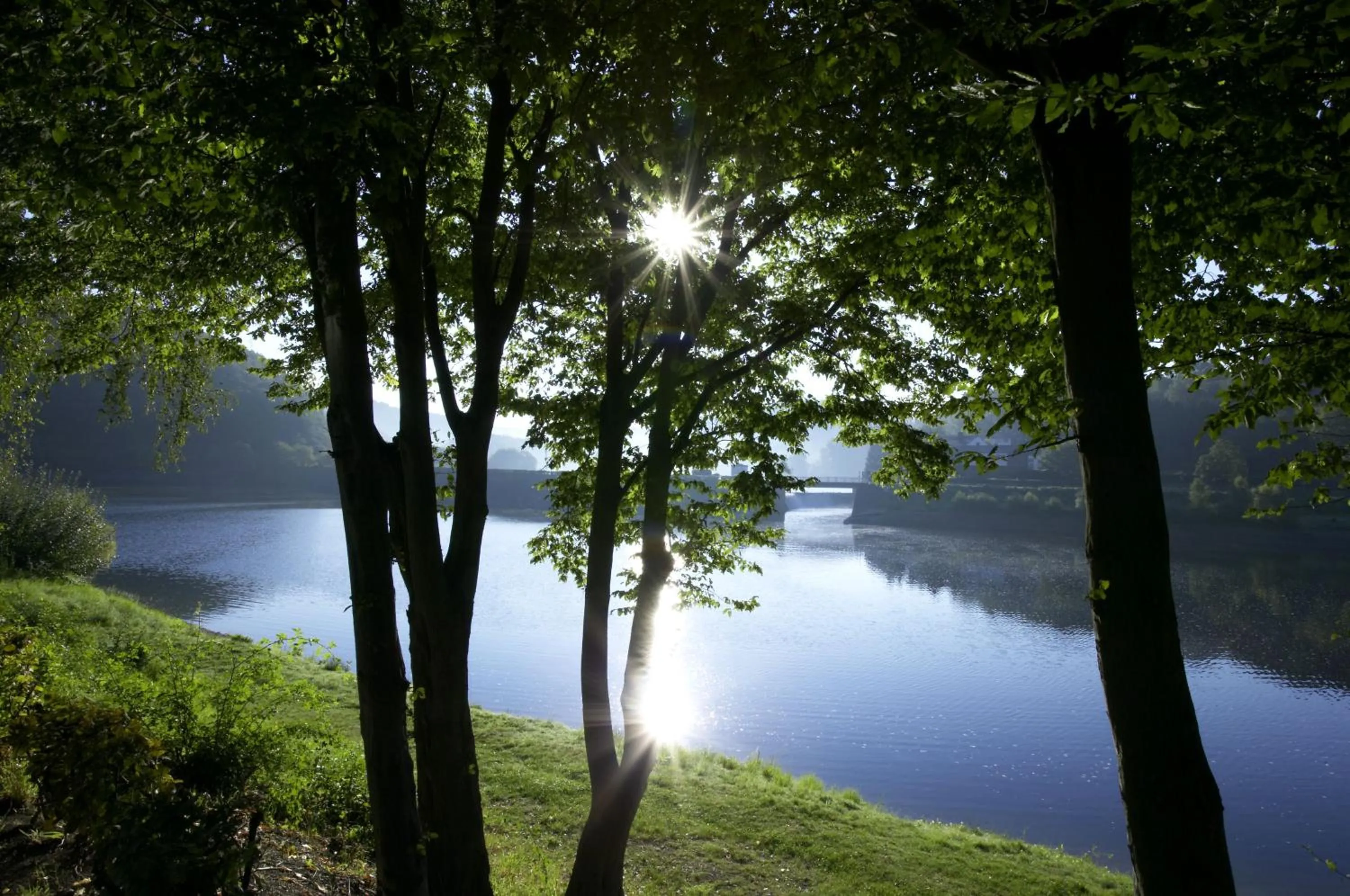 Natural landscape in Hotel Paulushof