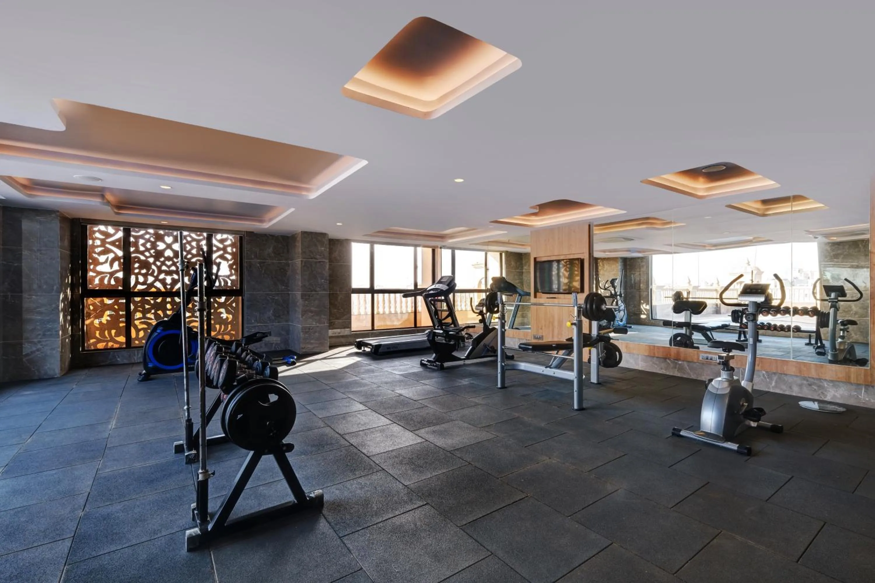 Fitness centre/facilities in Lemon Tree Premier, Dwarka