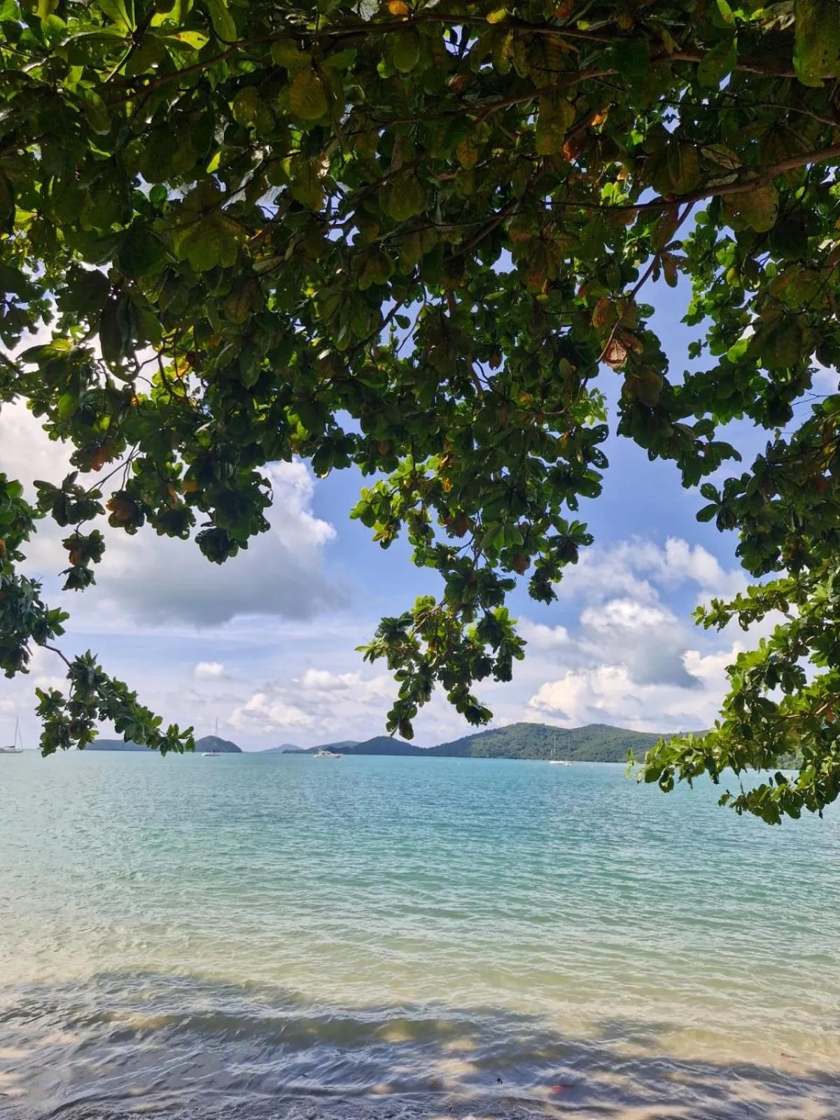 Beach in The Mooring Resort