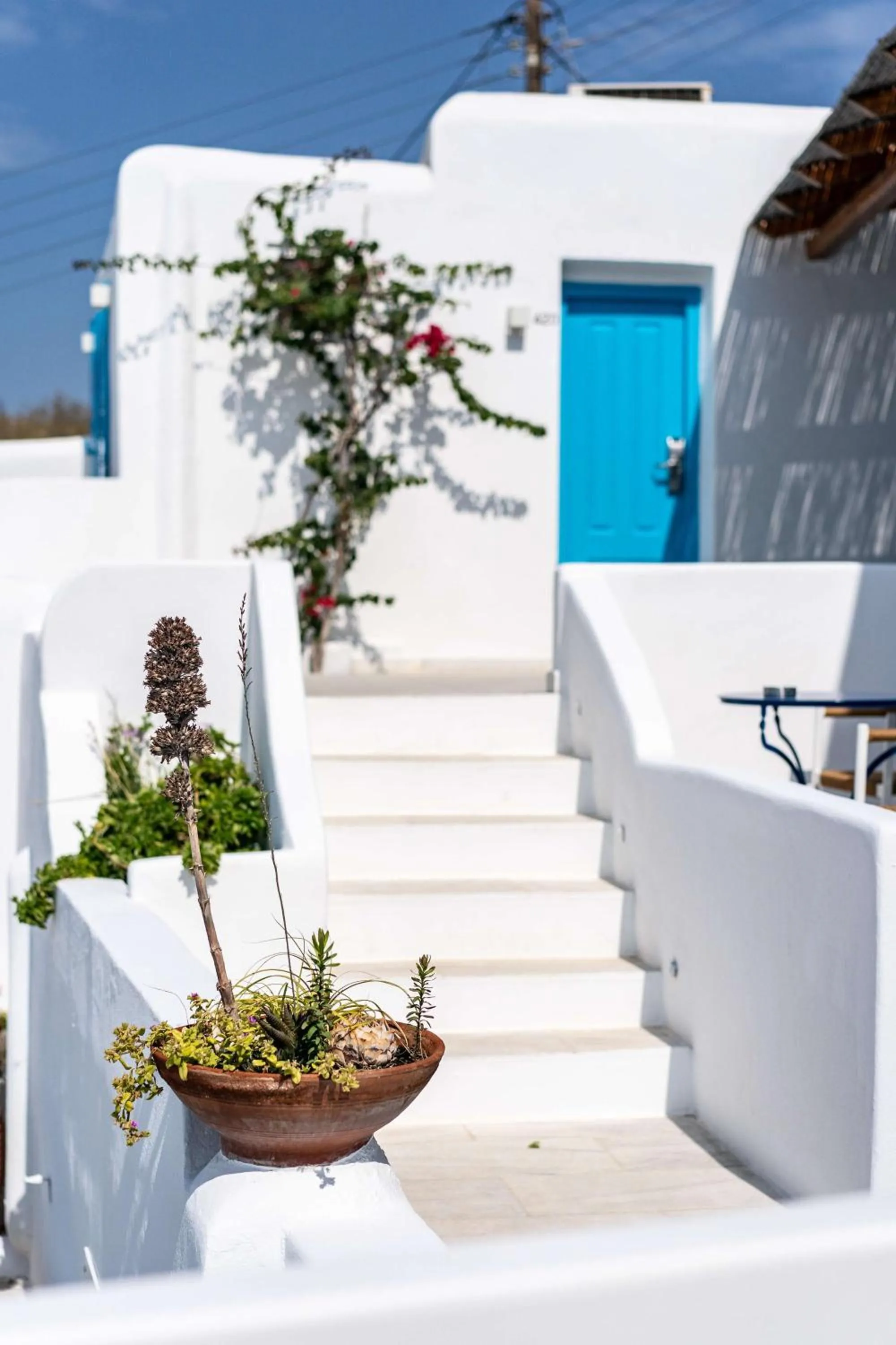 Balcony/Terrace in Hotel Madalena