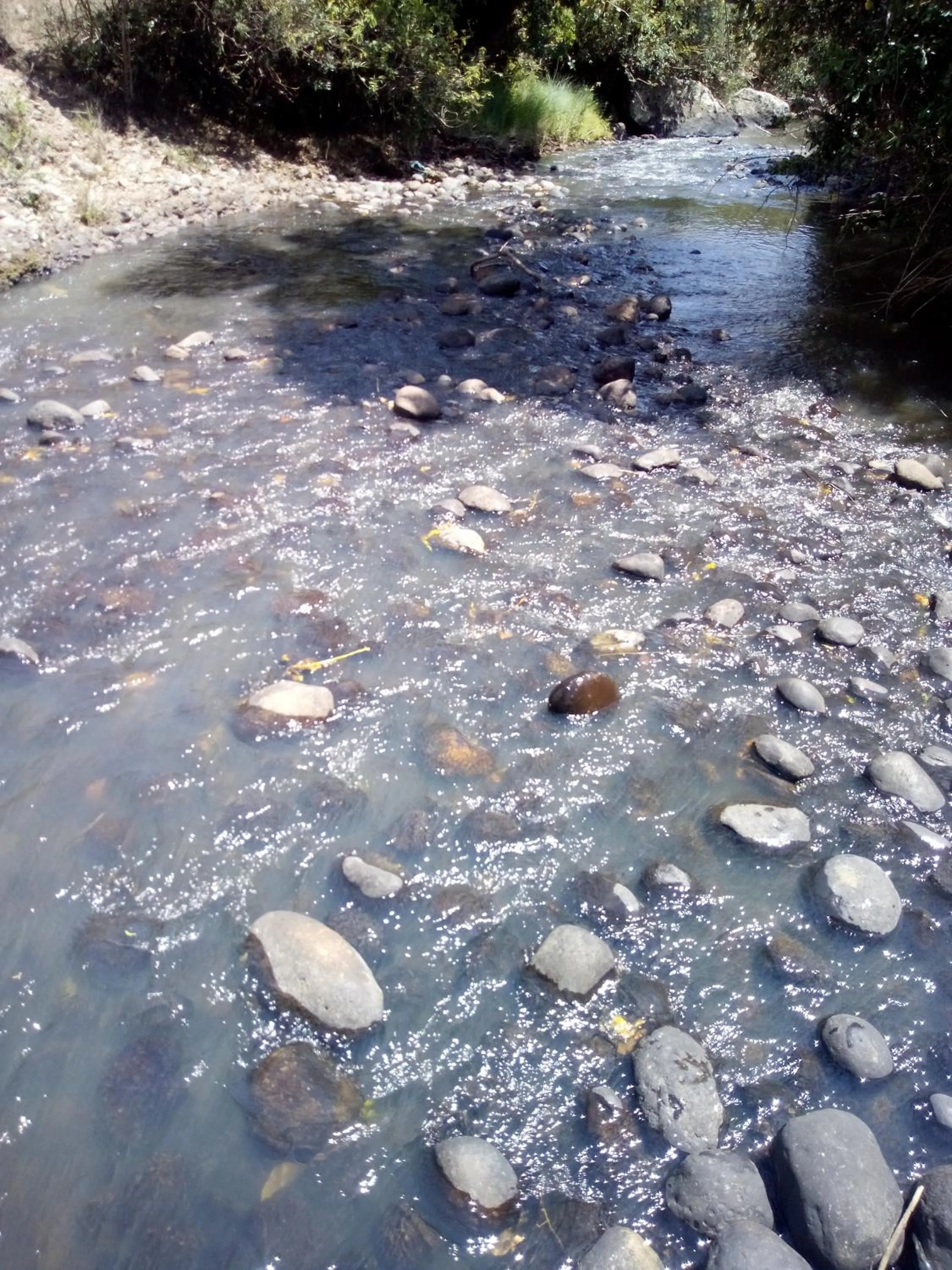 Natural landscape in Mtoni Resort, Naro moru