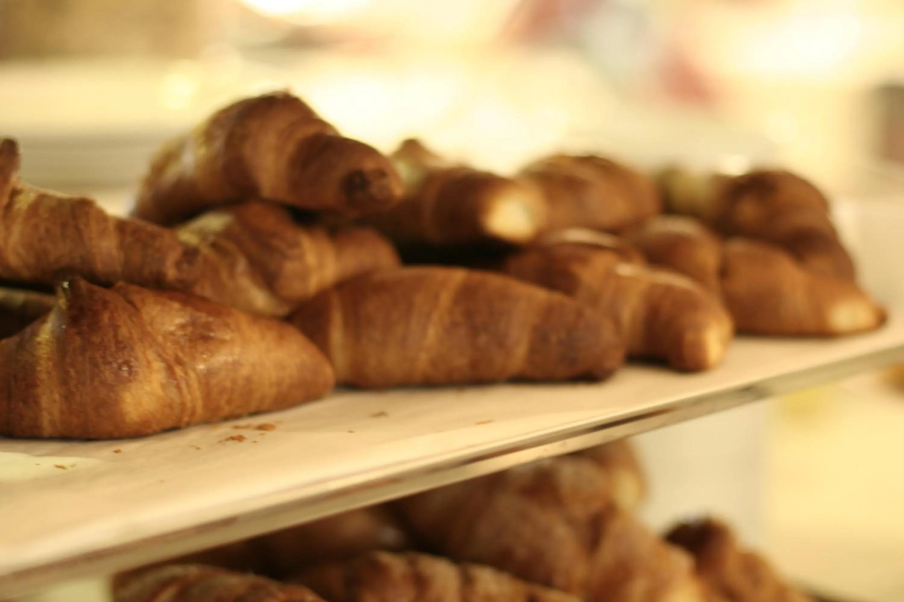 Food and drinks in Hotel Europa