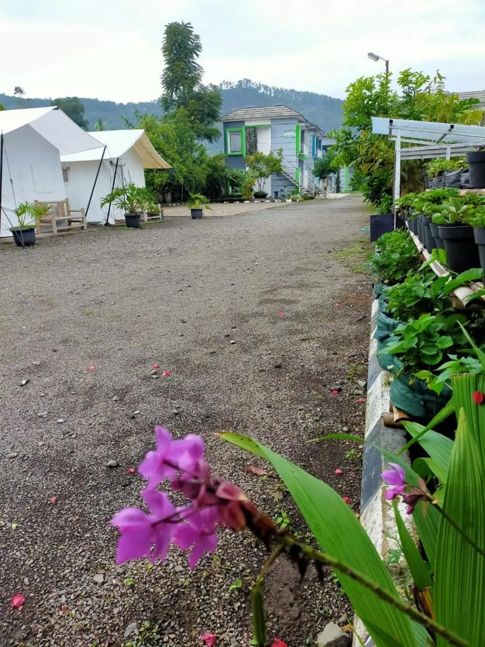 Maulana Hills Syariah Hotel