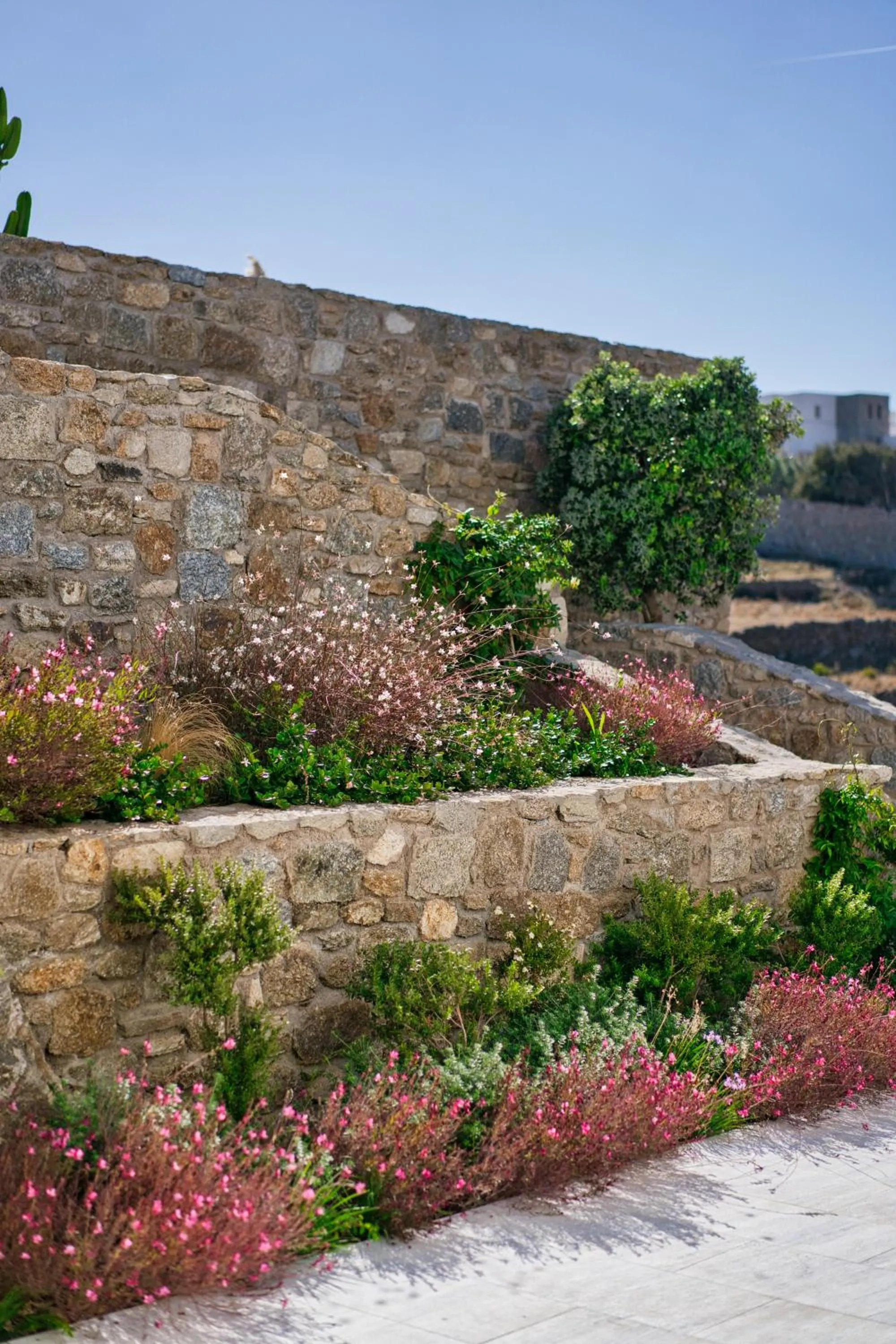 Spring in San Antonio Summerland